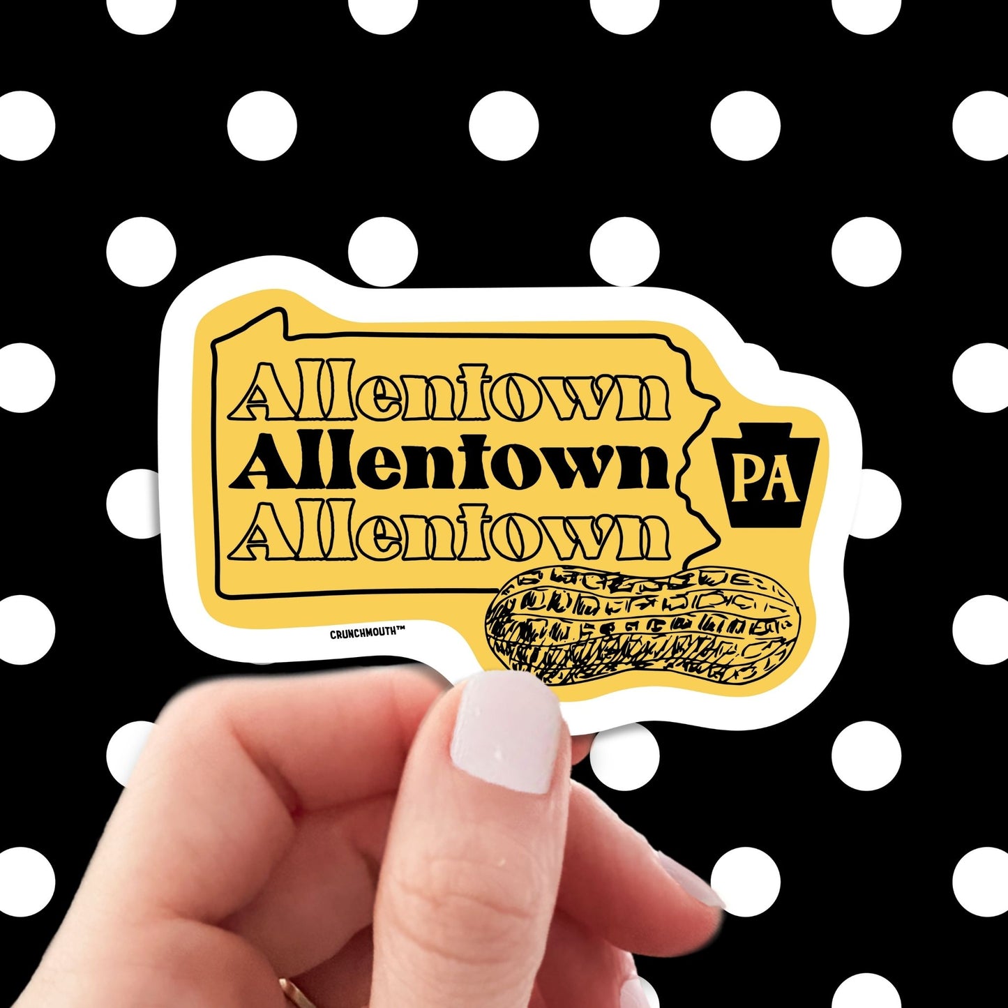 allentown travel luggage sticker, hand display, polka dots pattern design background
