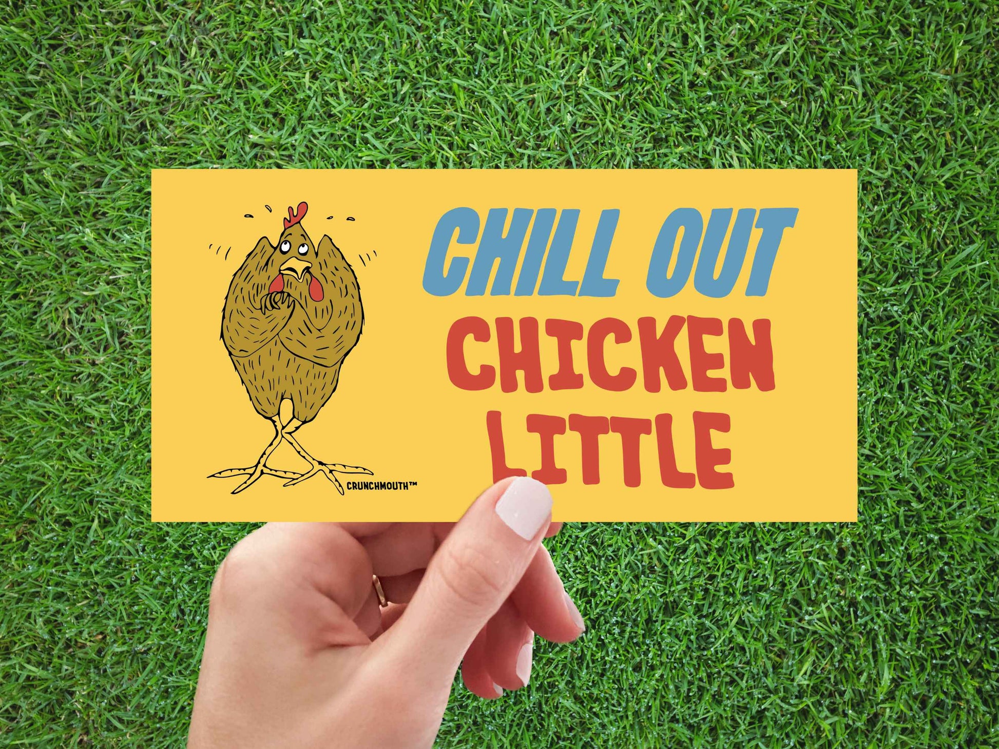 chill out chicken little bumper sticker, hand display, green grass background