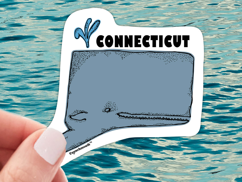 connecticut state whale sticker, displayed in hand, blue ocean background