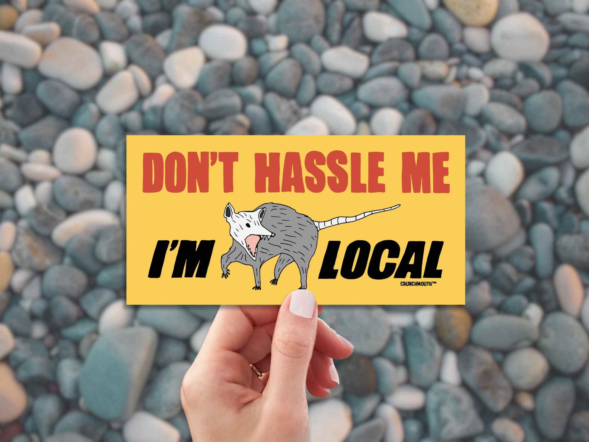opossum bumper sticker, don't hassle me i'm local, funny bumper stickers, hand display, stone background