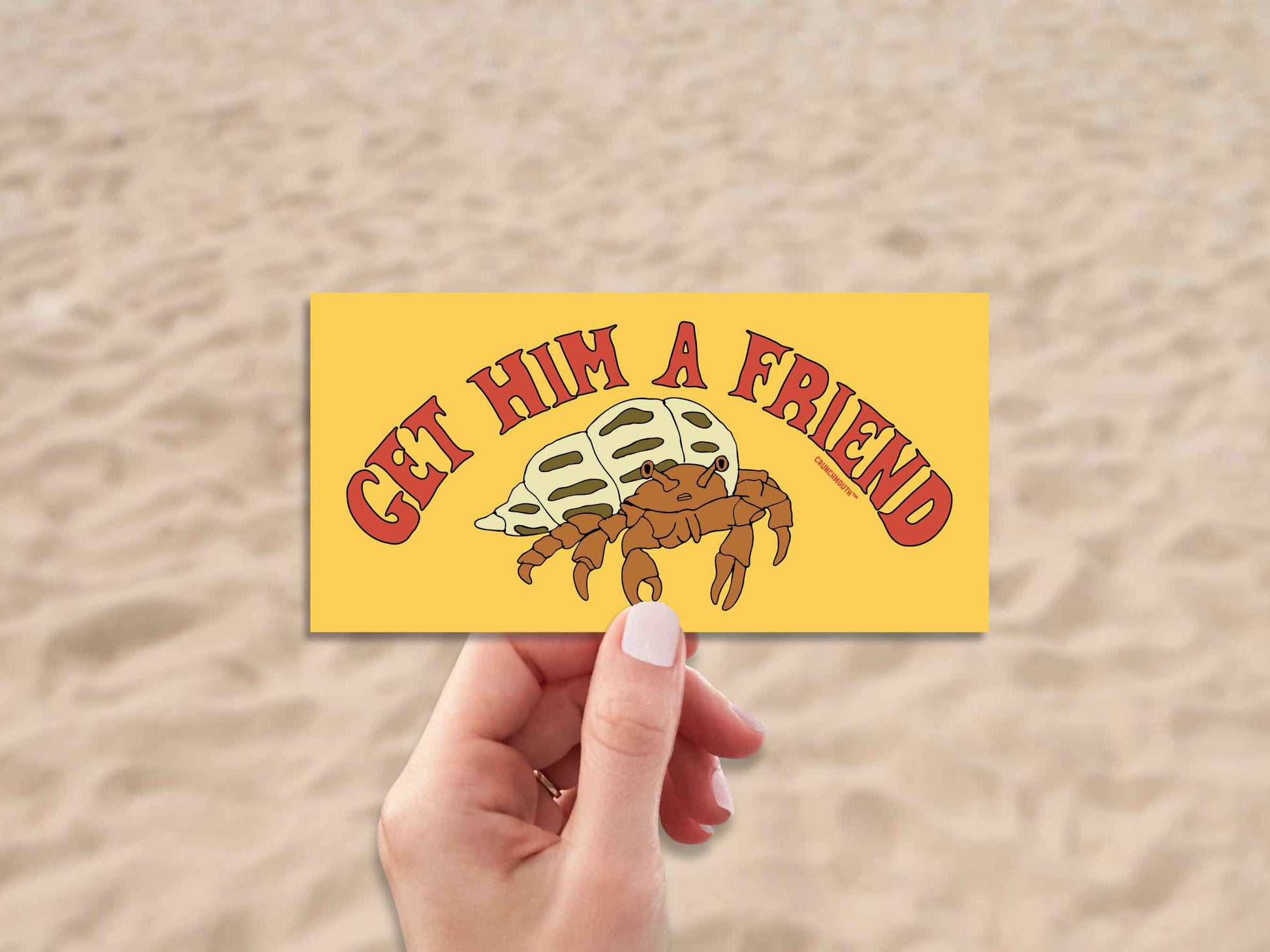get him a friend funny hermit crab bumper sticker, hand display, beach sand background