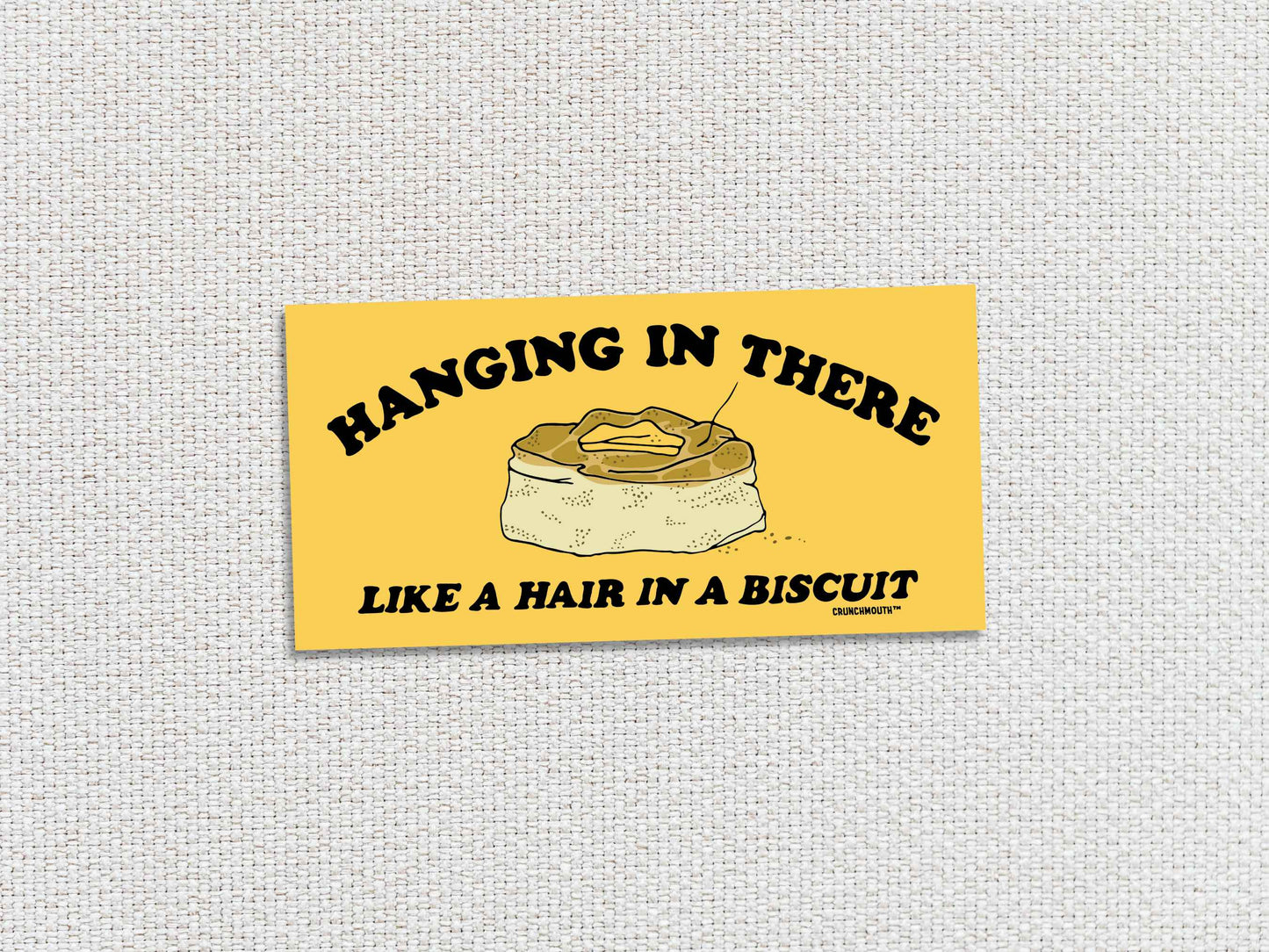 hanging in there like a hair in a biscuit, funny bumper stickers, white textured background