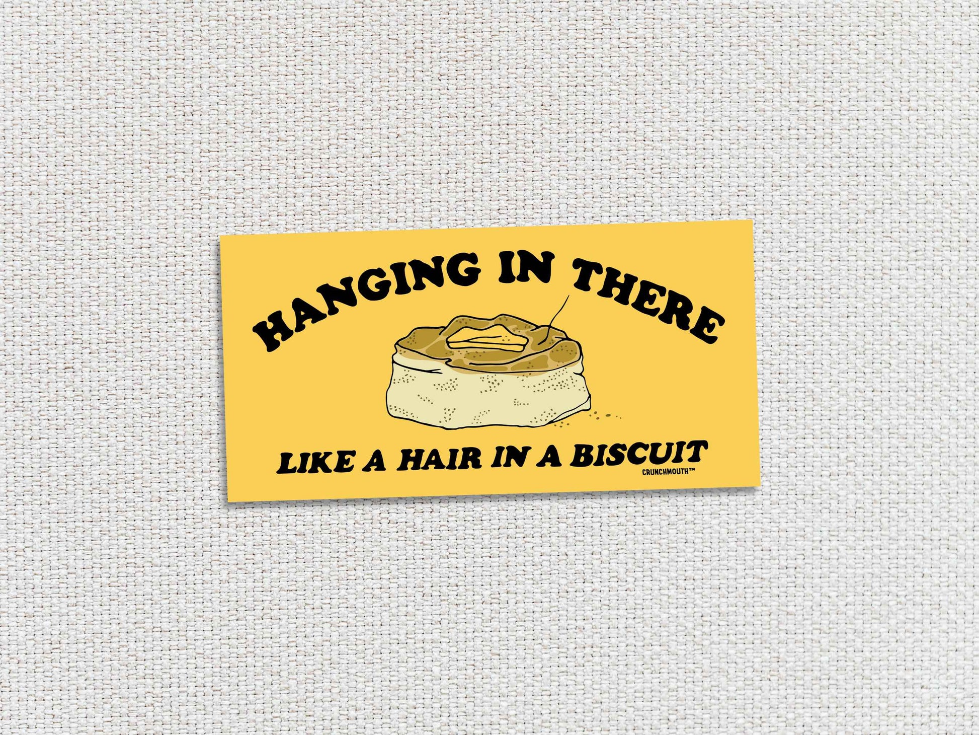 hanging in there like a hair in a biscuit, funny bumper stickers, white textured background