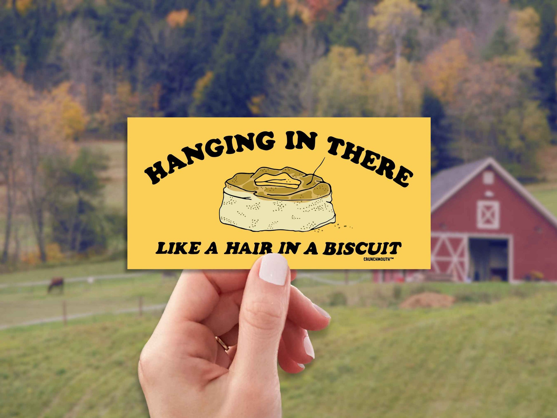 hanging in there like a hair in a biscuit, funny bumper stickers, hand display, farmland red barn background