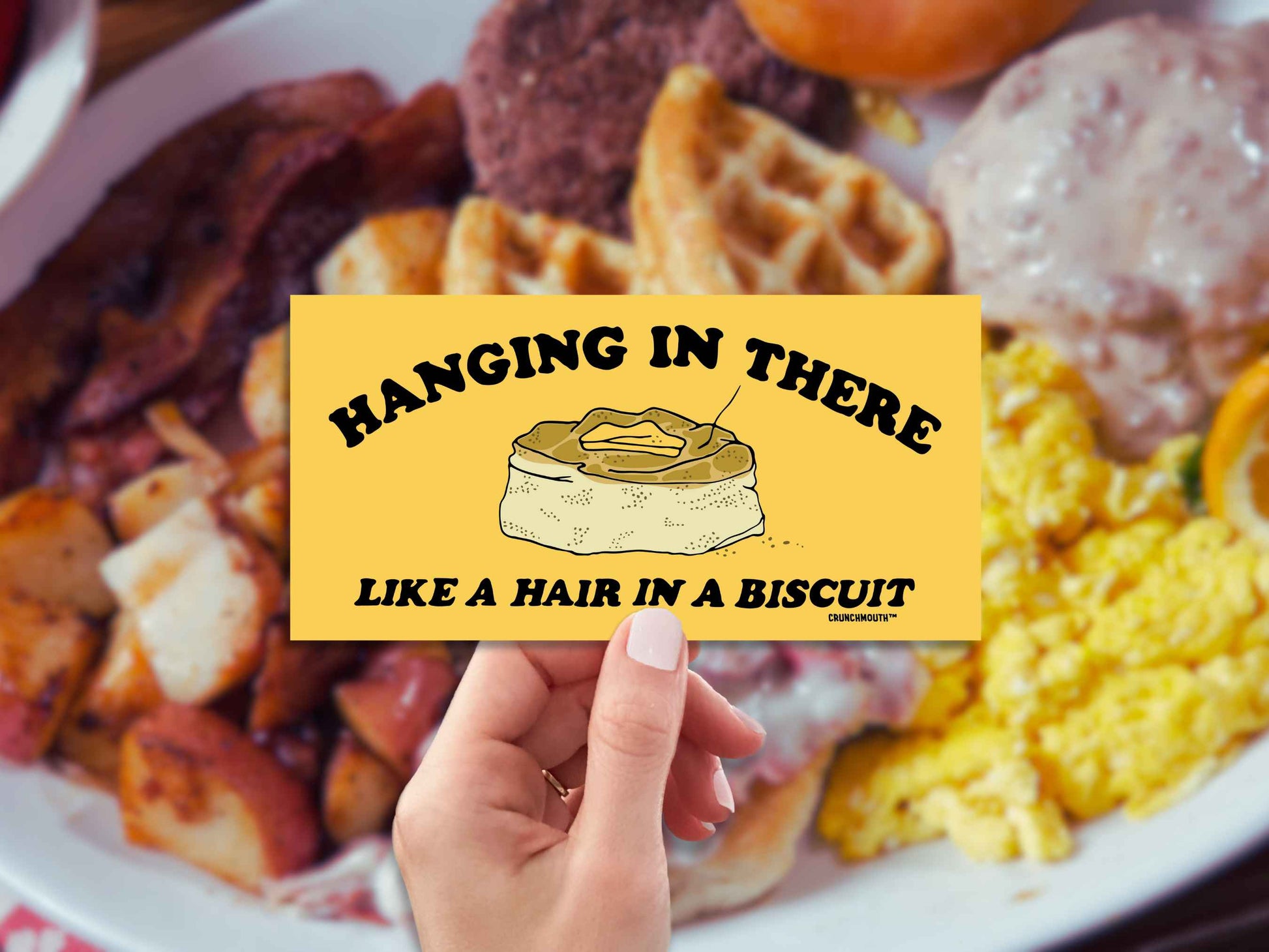 hanging in there like a hair in a biscuit, funny bumper stickers, hand display, country breakfast background
