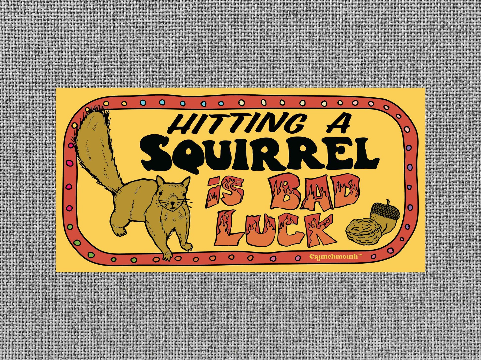 hitting a squirrel is bad luck, funny bumper stickers, gray textured background
