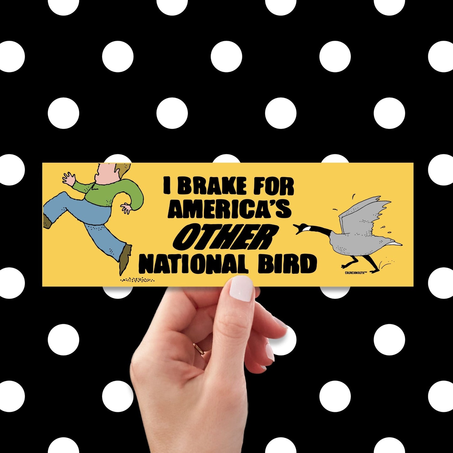i brake for america's other national bird, funny canada goose bumper sticker, polka dots pattern design background