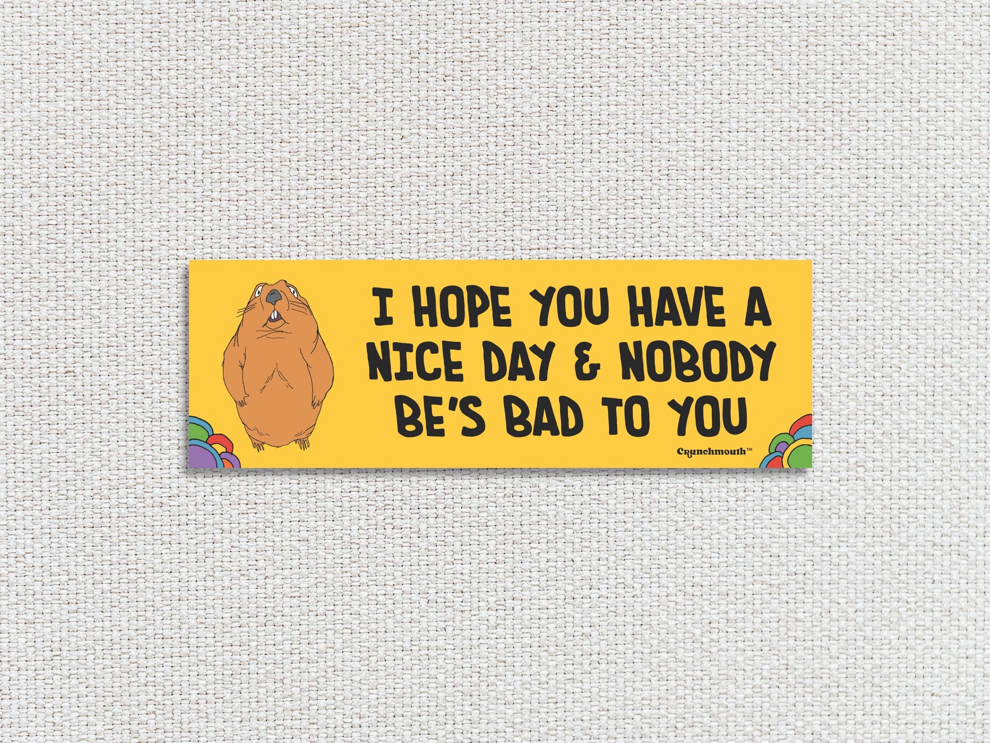 i hope you have a nice day and nobody be's bad to you, funny groundhog bumper sticker, white textured background