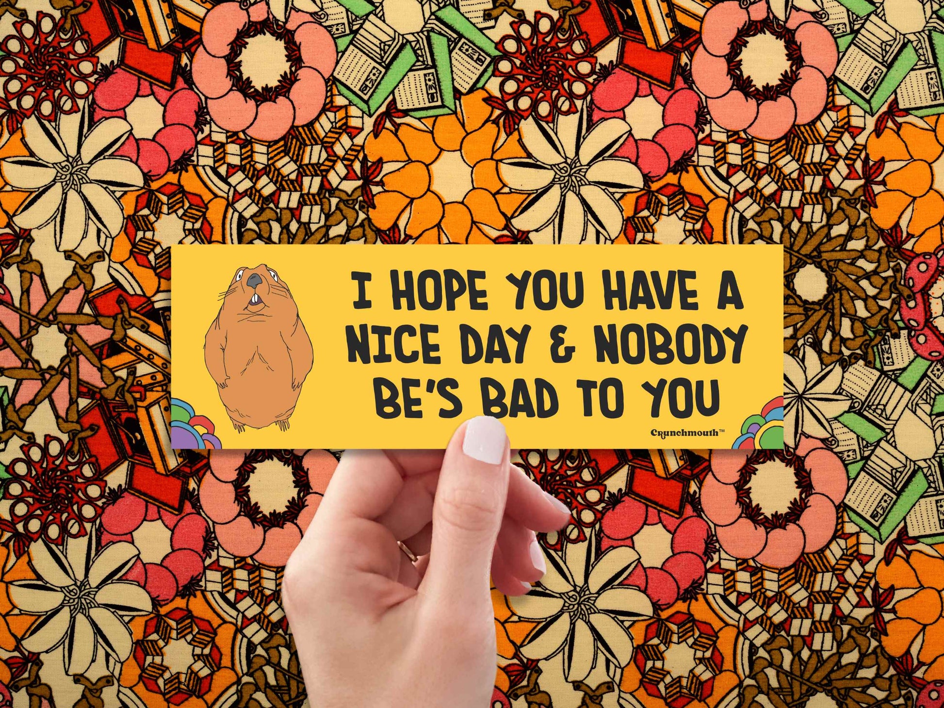 i hope you have a nice day and nobody be's bad to you, funny groundhog bumper sticker, hand display, 1960s floral pattern fabric background