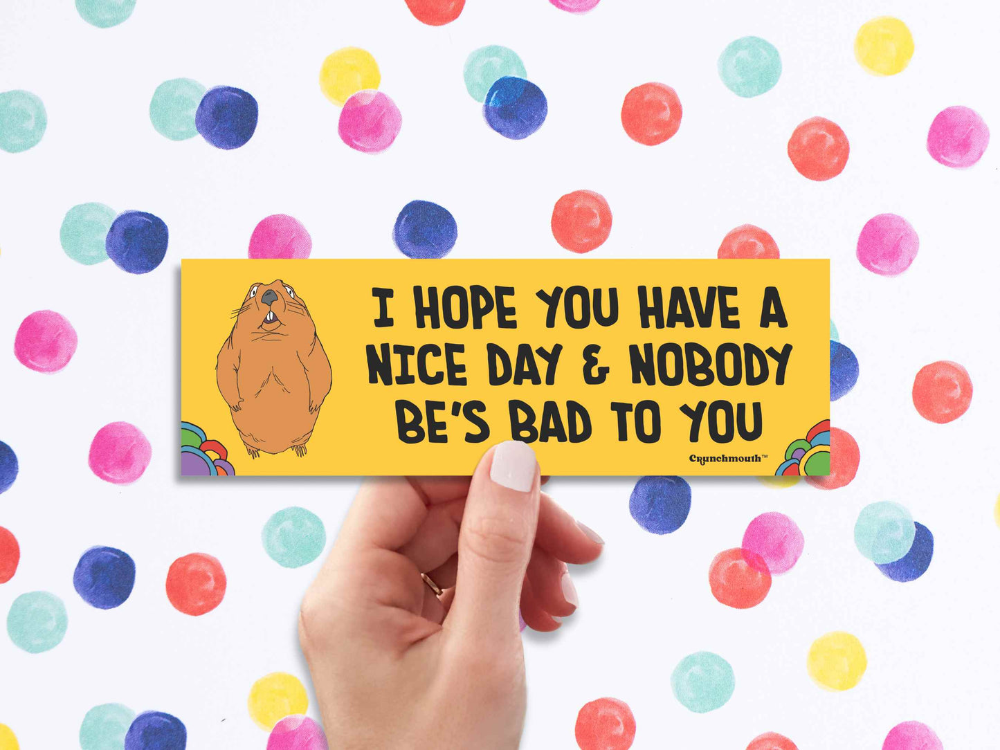 i hope you have a nice day and nobody be's bad to you, funny groundhog bumper sticker, hand display, colorful polka dot background