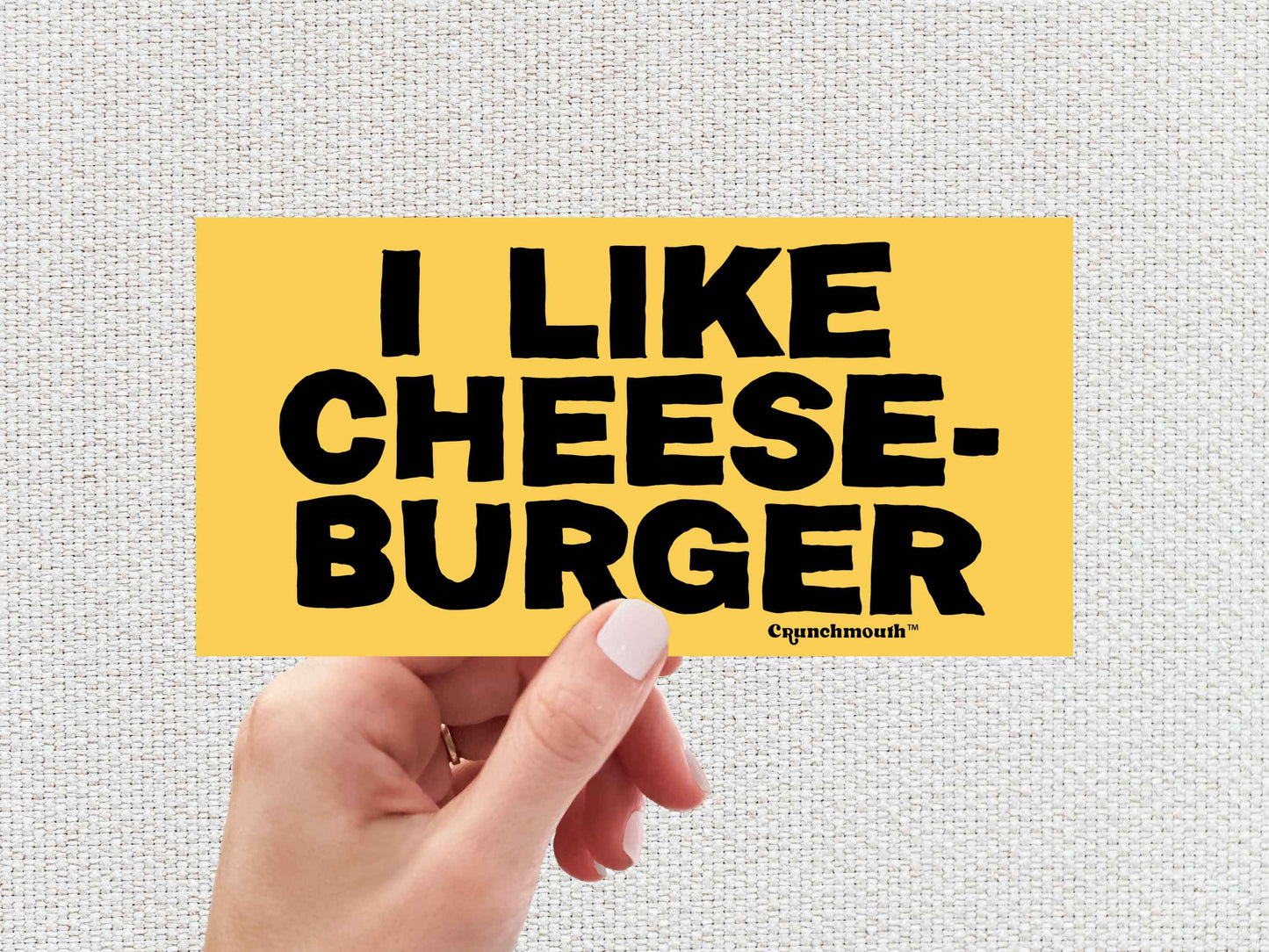 i like cheeseburger funny bumper sticker, hand display, white textured background