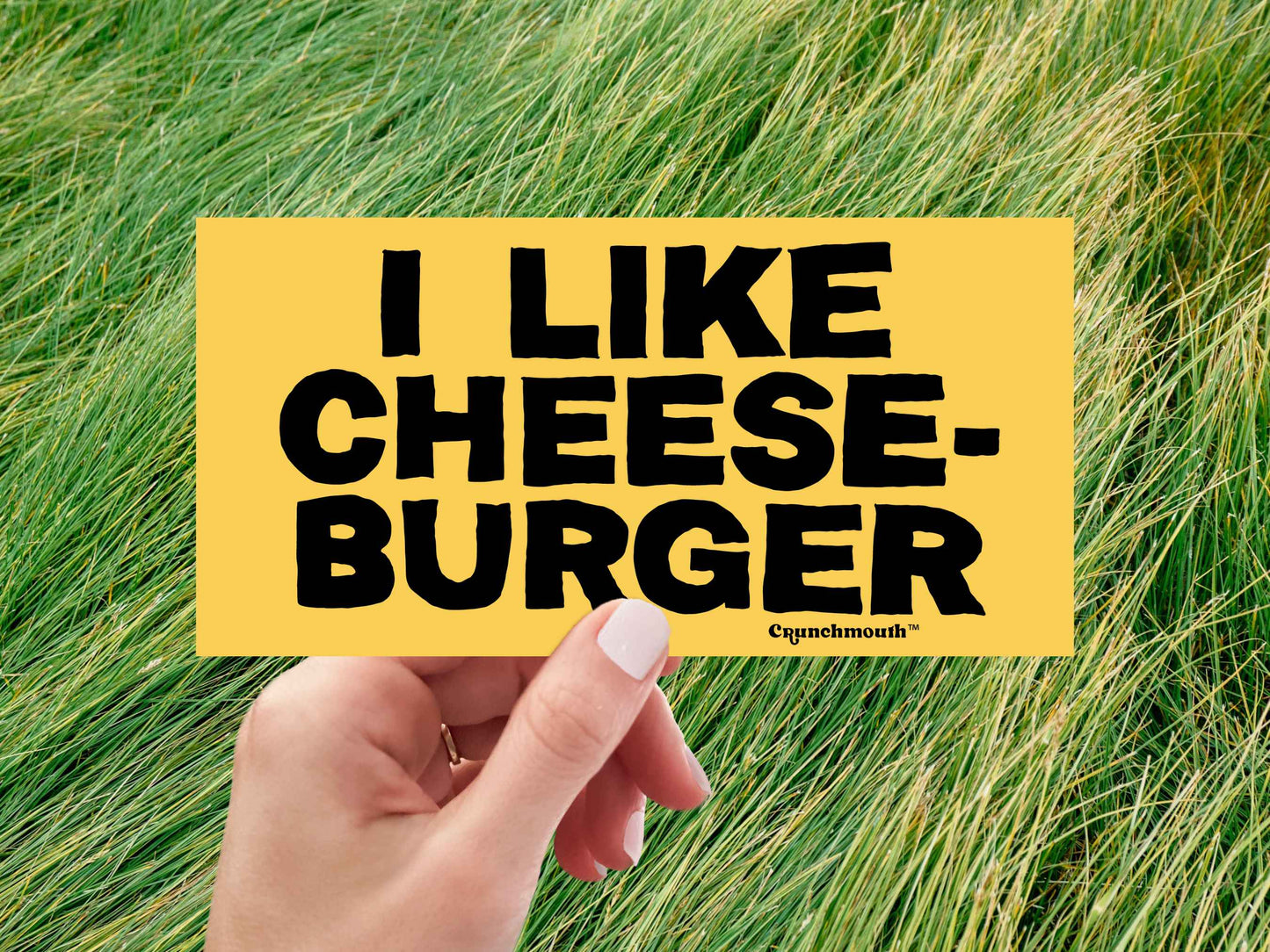 i like cheeseburger funny bumper sticker, hand display, green grass background