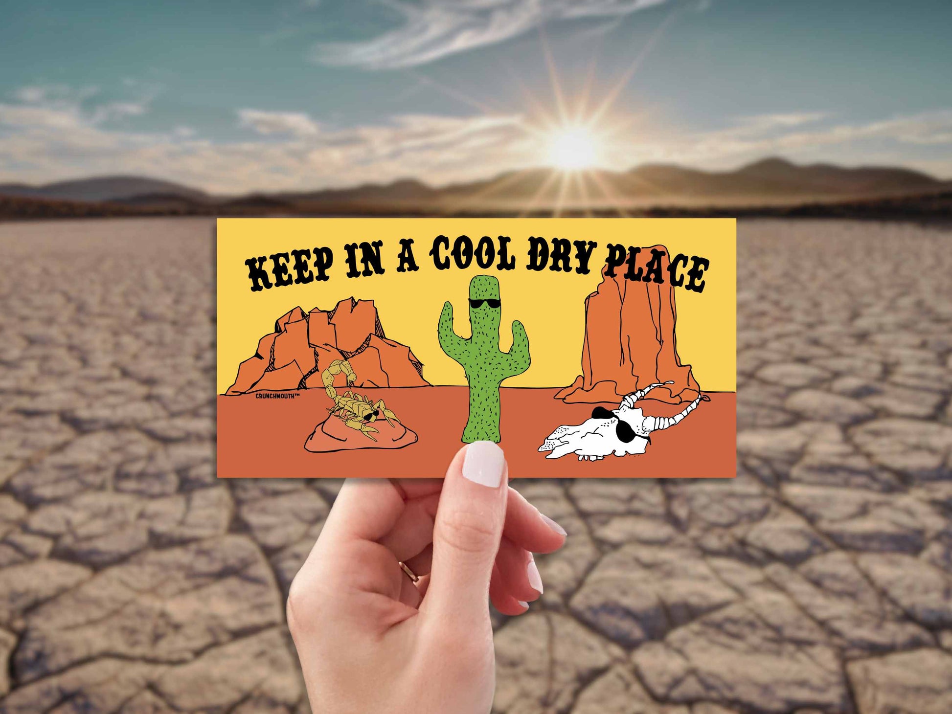 keep in a cool dry place bumper sticker, hand display, parched desert earth background