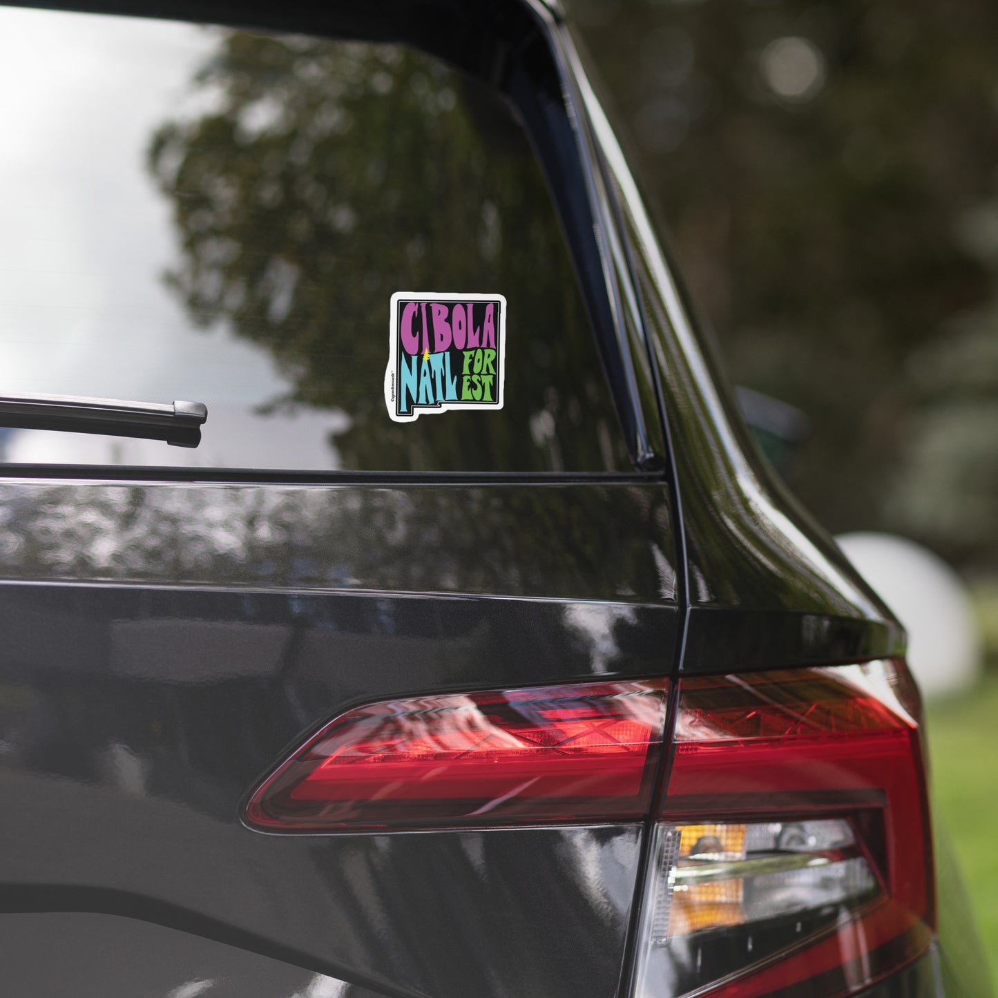 cibola national forest nm bumper sticker displayed on rear window of vehicle