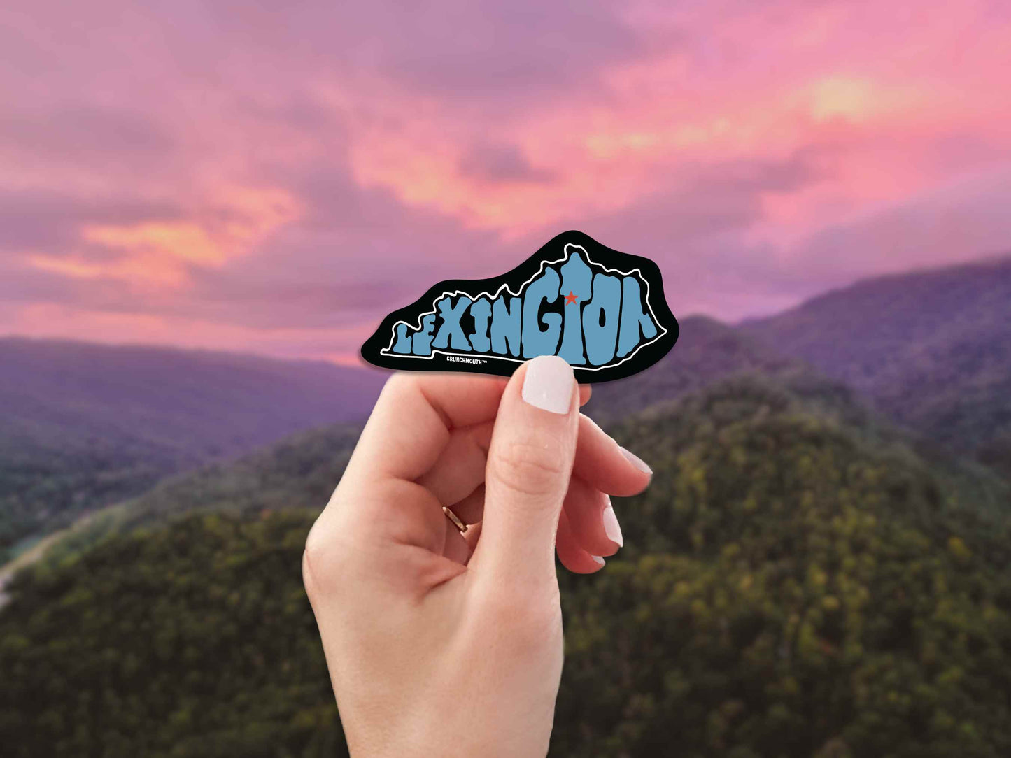 Lexington Travel Luggage Sticker