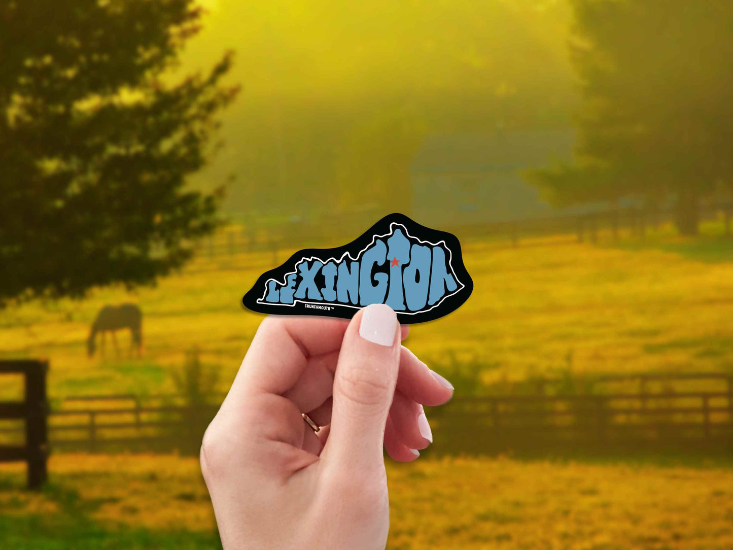 Lexington Travel Luggage Sticker