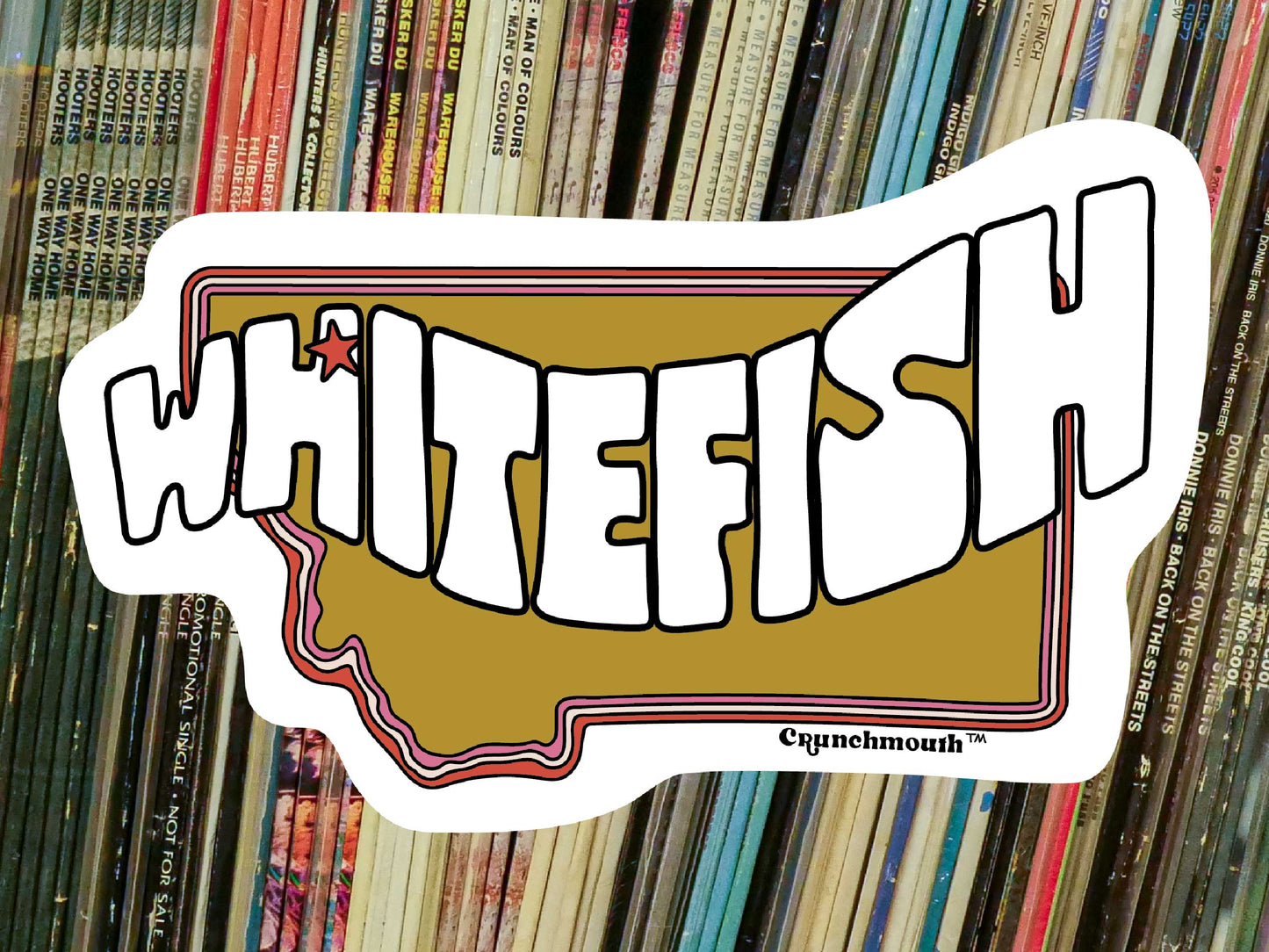 whitefish montana sticker, vinyl record shelf background