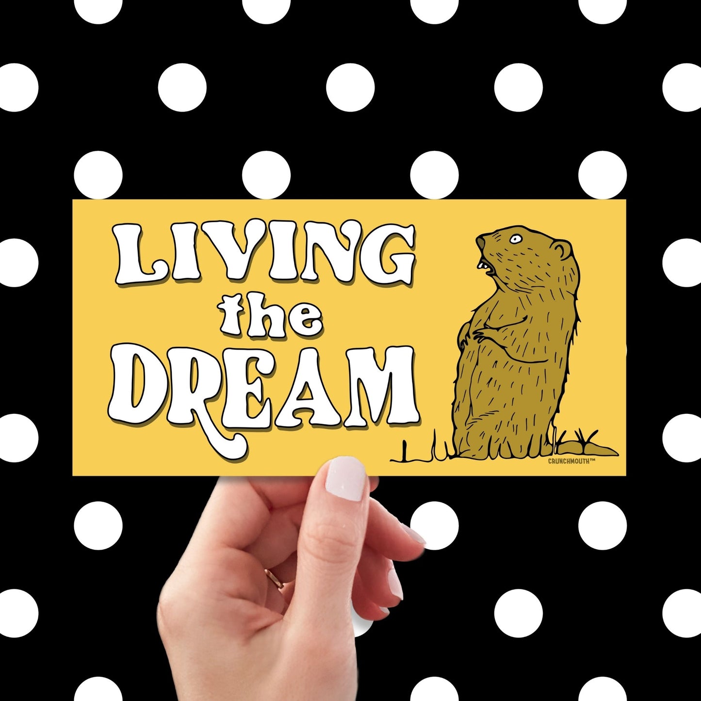 living the dream, funny groundhog bumper sticker, hand display, polka dots pattern design background