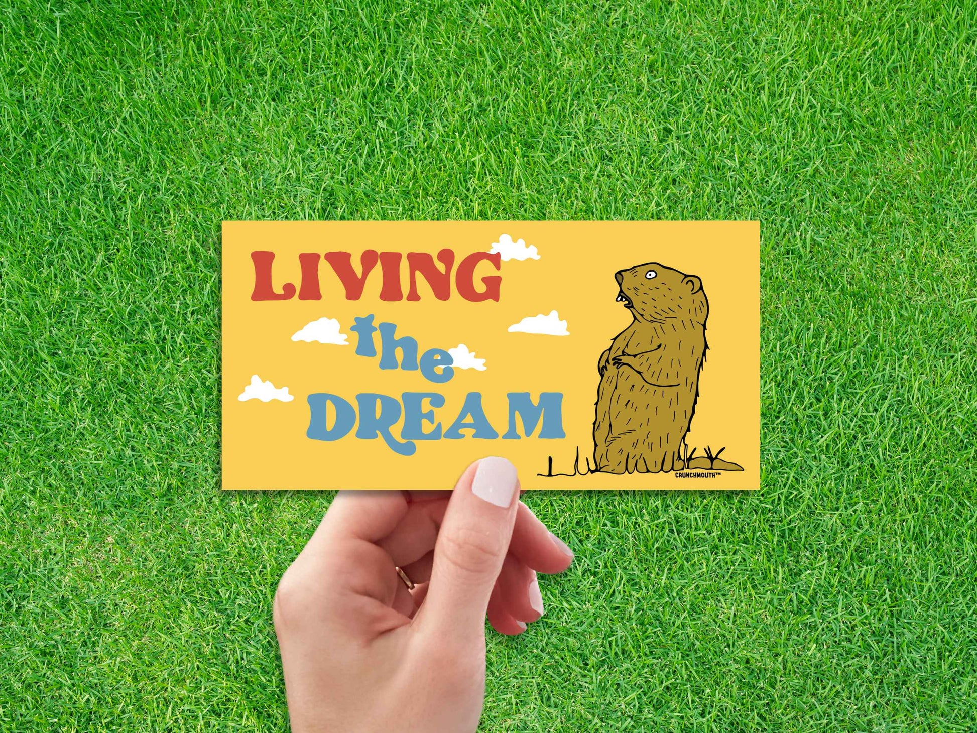 living the dream, funny groundhog bumper sticker, hand display, green grass background