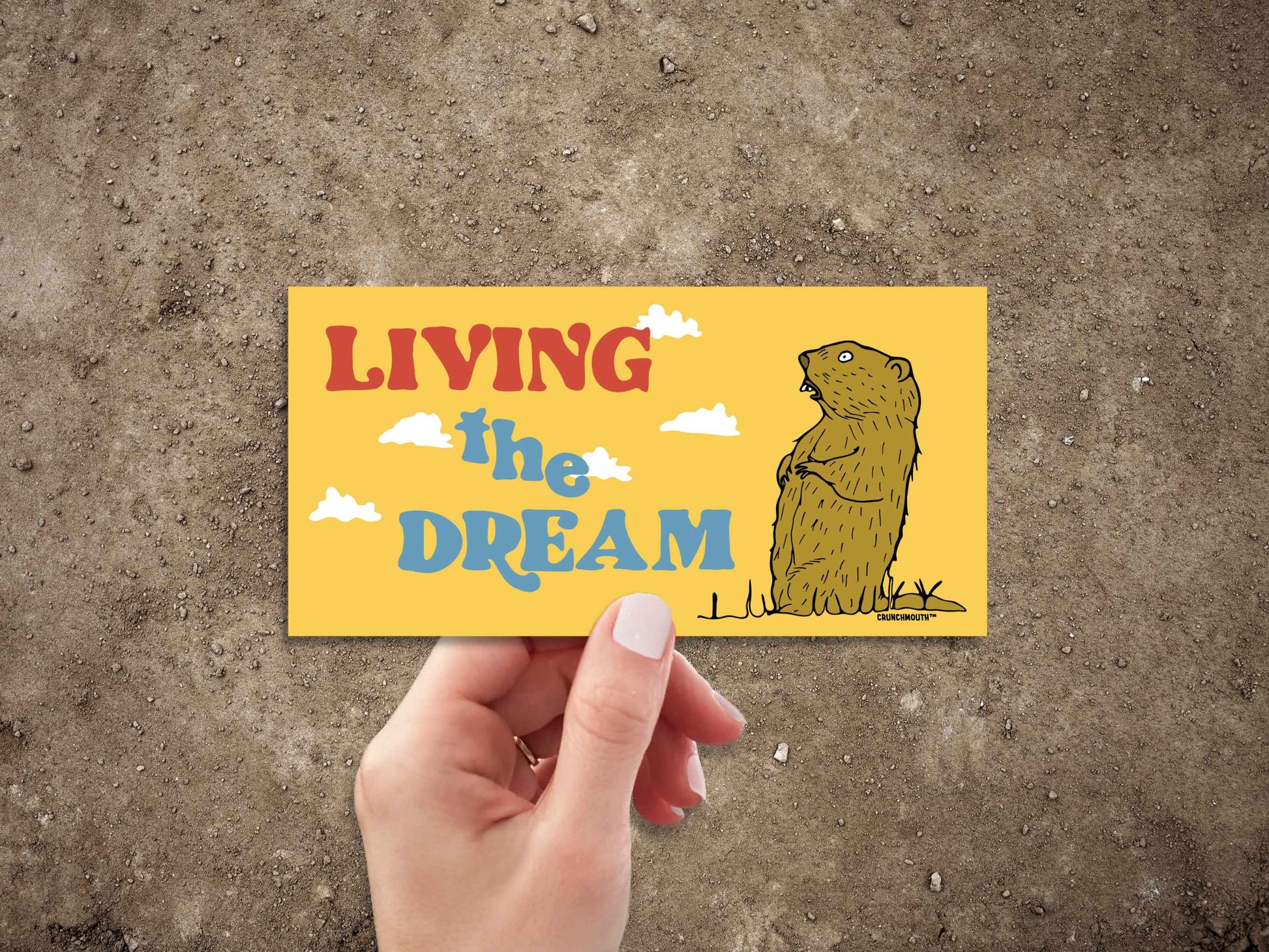 living the dream, funny groundhog bumper sticker, hand display, dirt background