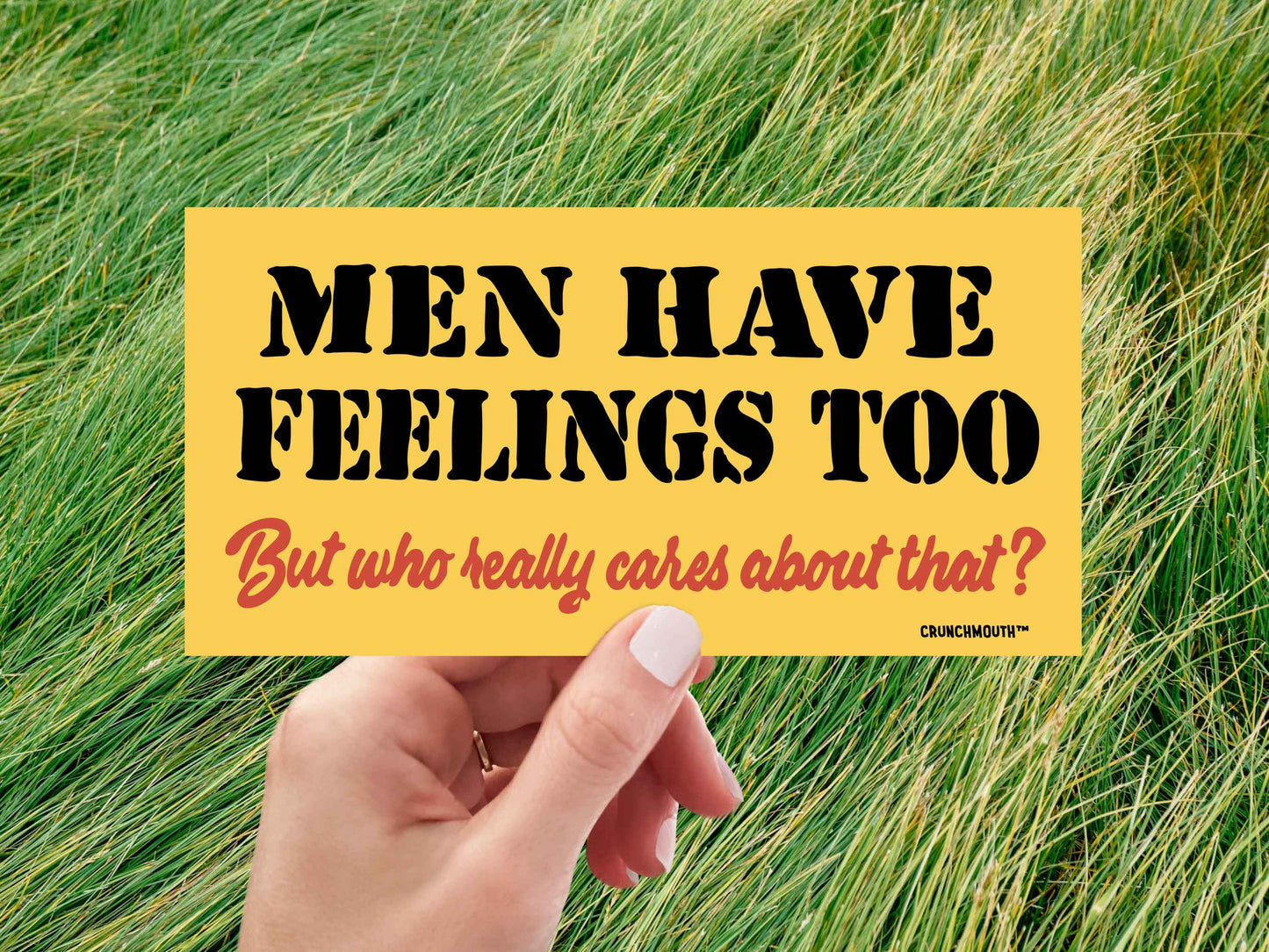 men have feelings too but who really cares about that funny bumper sticker, hand display, green grass background