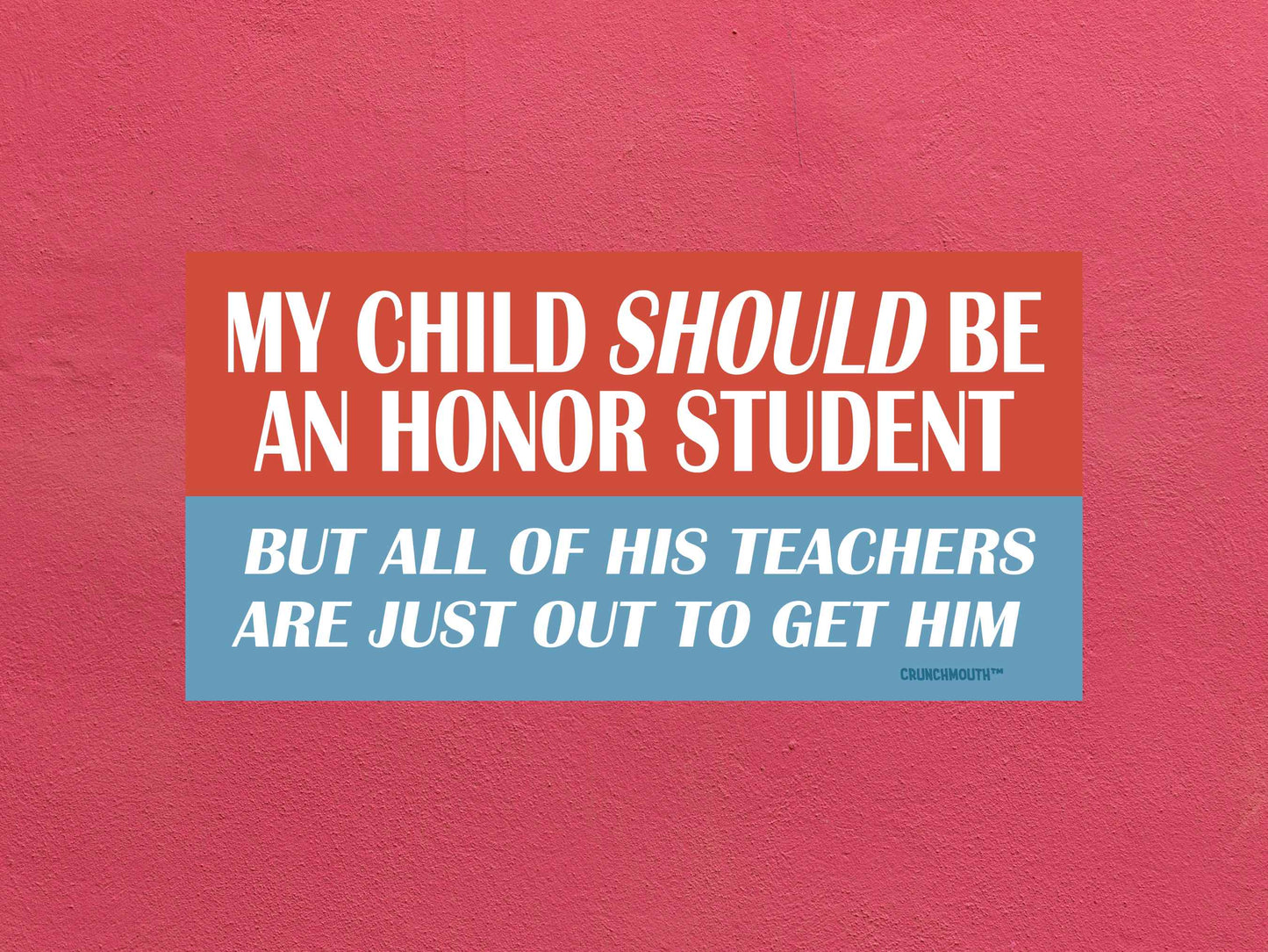 my child should be an honor student but all of his teachers are just out to get him bumper sticker, funny bumper stickers, rose color textured background