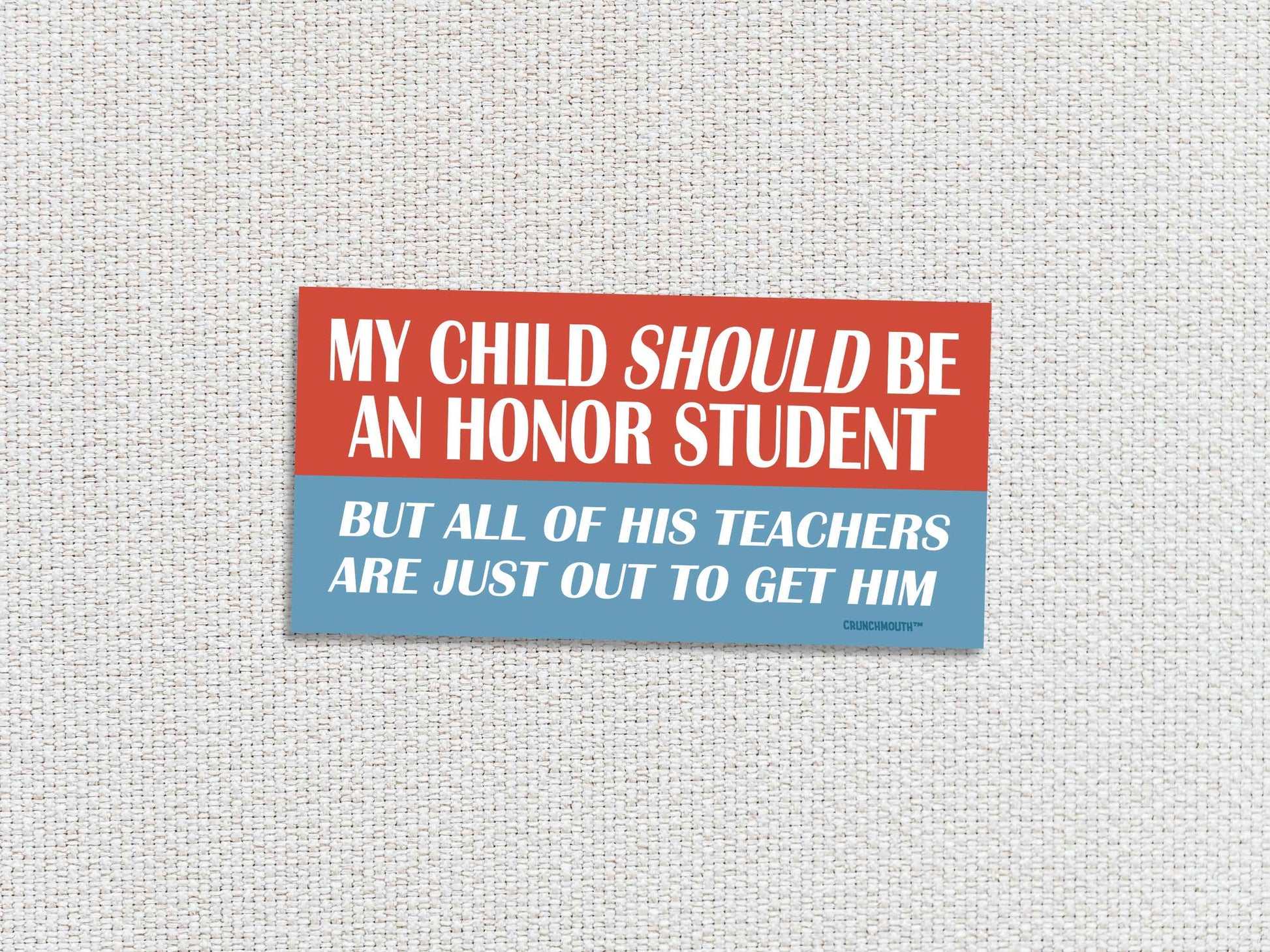 my child should be an honor student but all of his teachers are just out to get him bumper sticker, white textured background