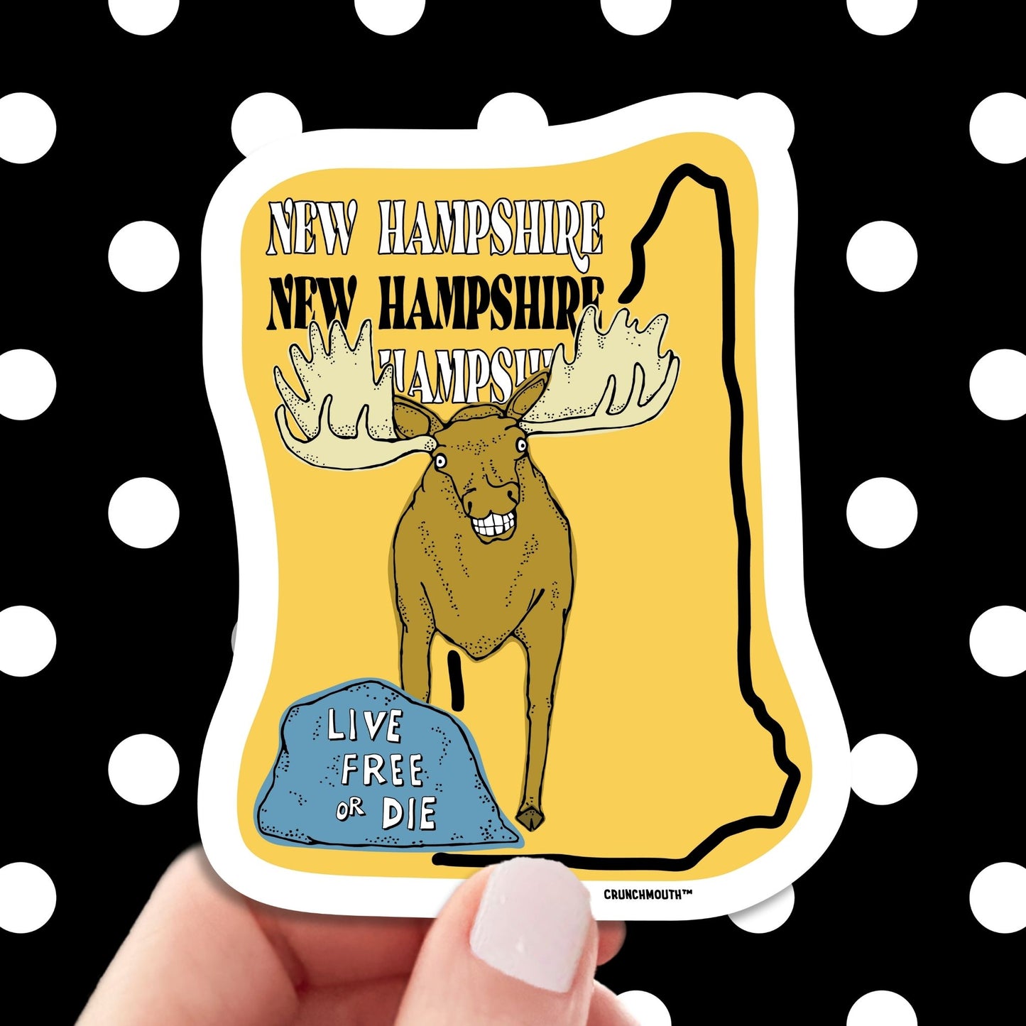 new hampshire travel luggage sticker, hand display, polka dots pattern design background