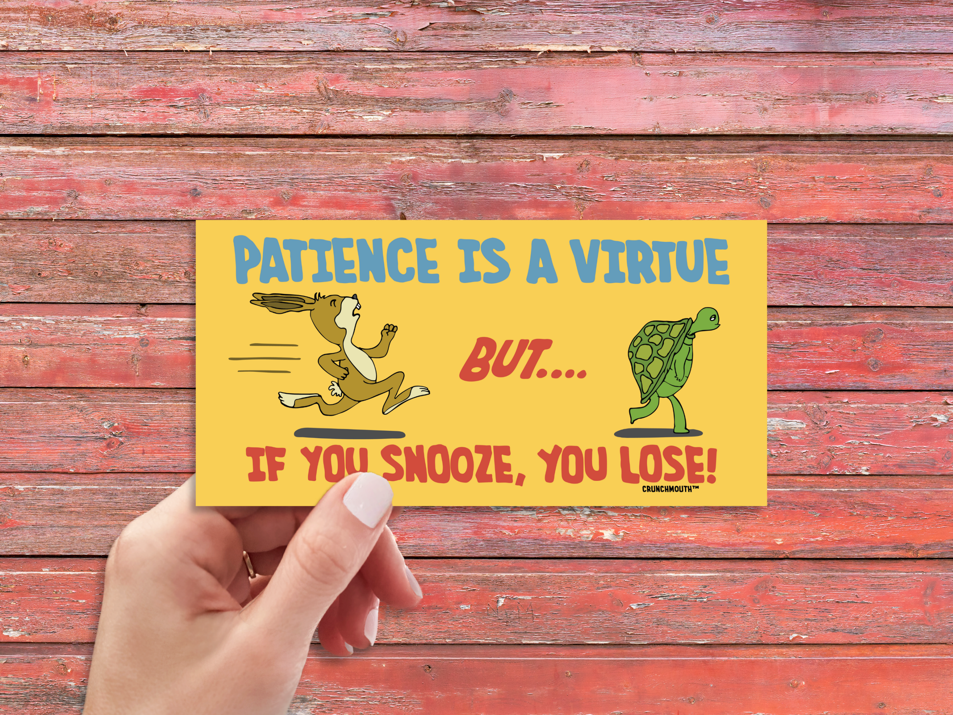 the tortoise and the hare bumper sticker, patience is a virtue but if you snooze you lose, funny bumper stickers, hand display, red wood panel background