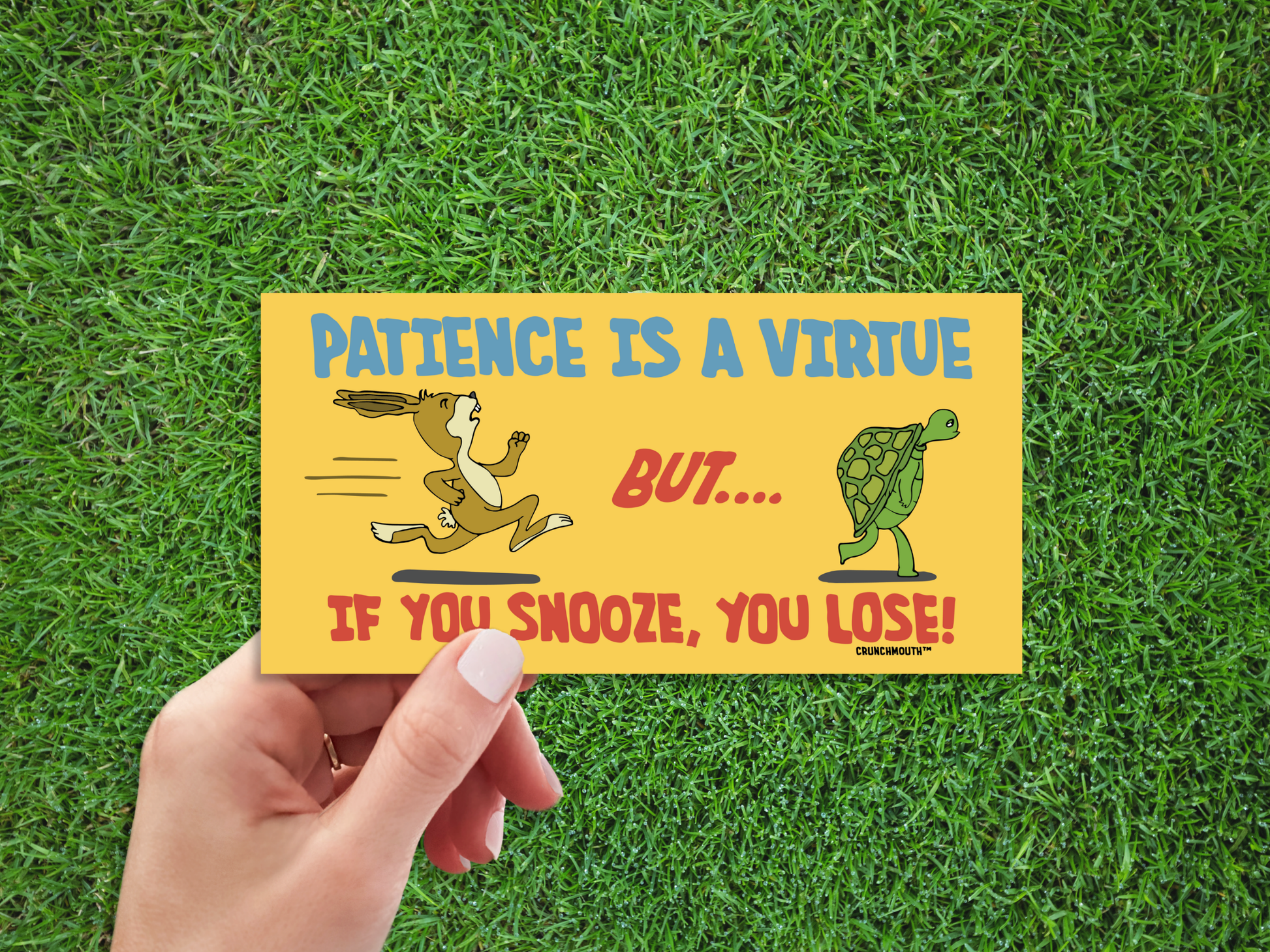 the tortoise and the hare bumper sticker, patience is a virtue but if you snooze you lose, funny bumper stickers, hand display, green grass background
