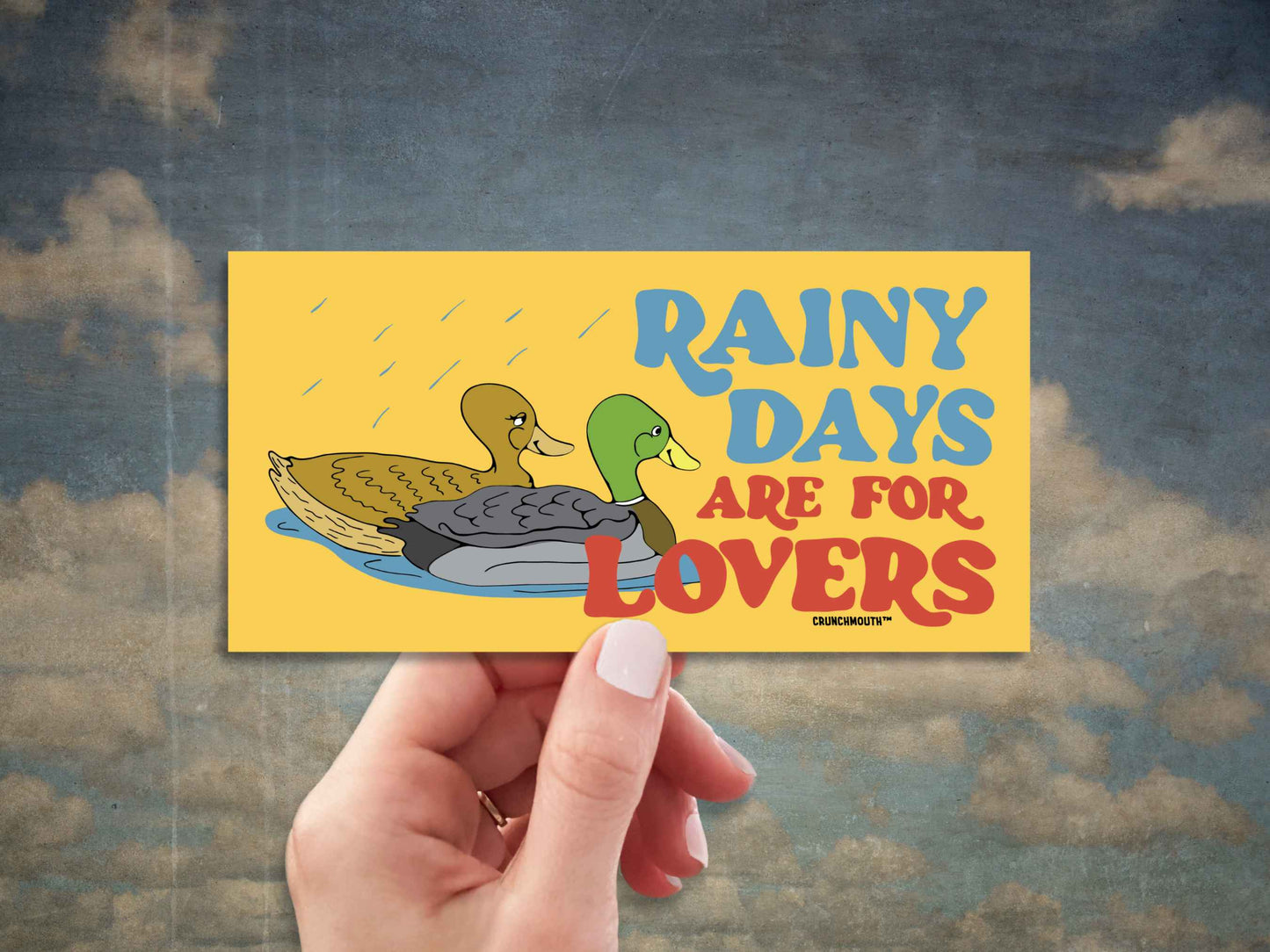 rainy days are for lovers mallard duck bumper sticker, hand display, sky antique wall background