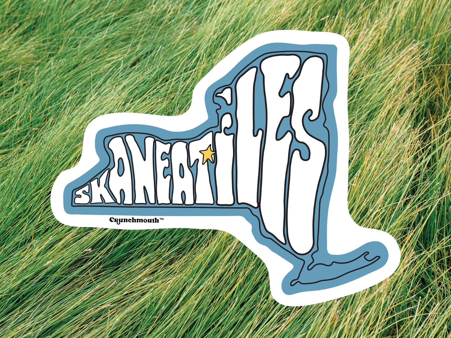 skaneateles water bottle sticker, green grass background