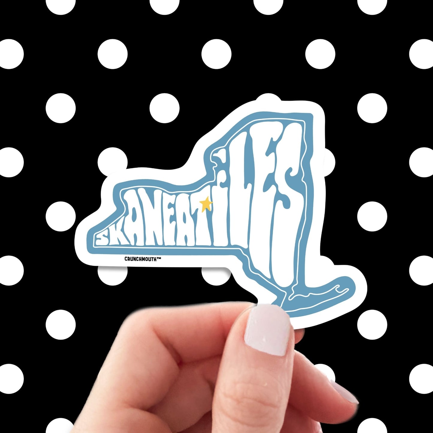 skaneateles new york travel luggage sticker, hand display, polka dots pattern design background