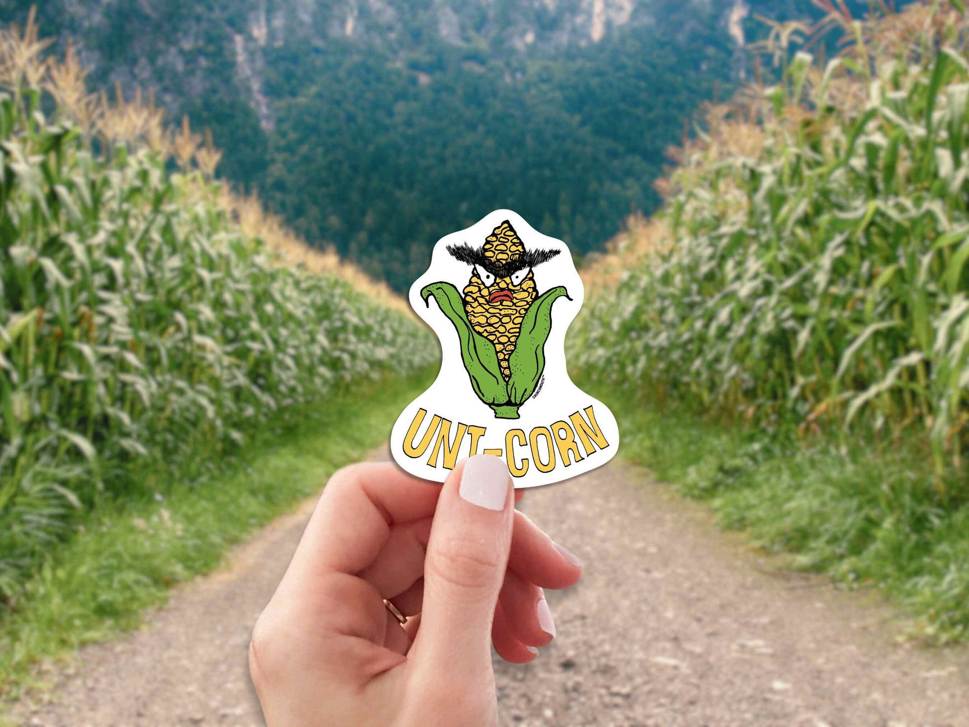 uni-corn laptop sticker, ear of corn with unibrow, hand display, cornfield background
