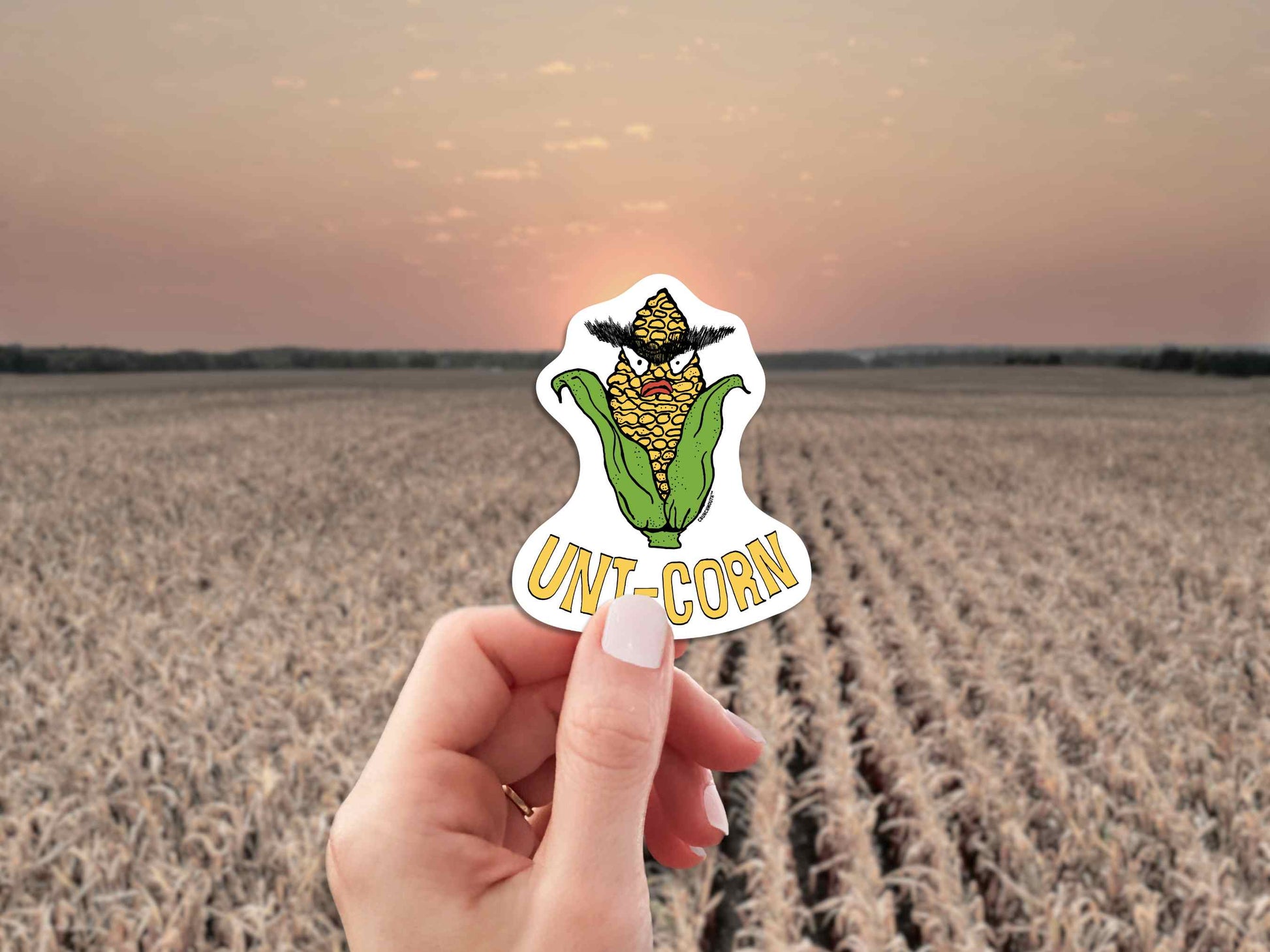 unicorn laptop sticker, ear of corn with unibrow, hand display, cornfield background
