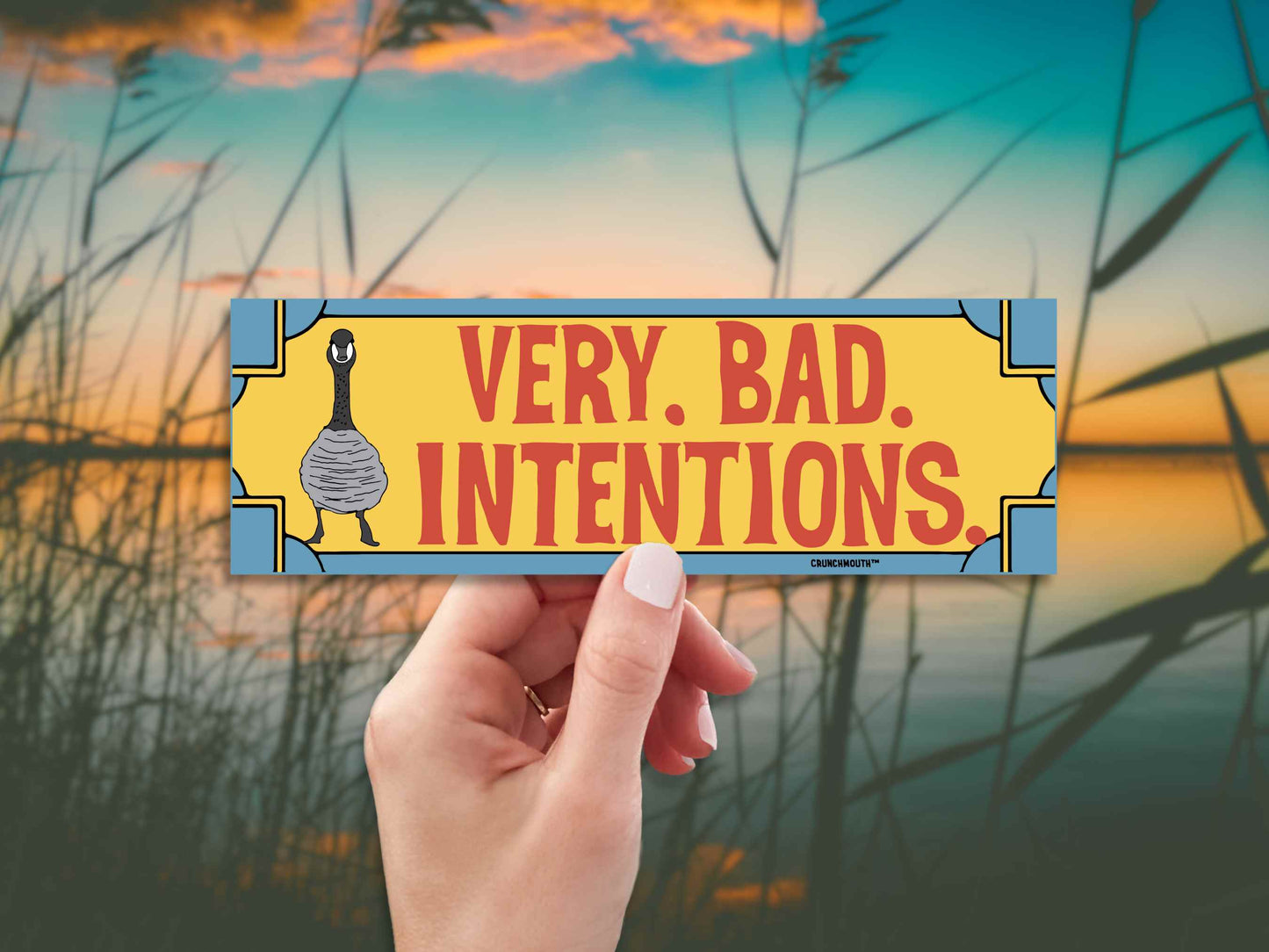 very bad intentions canada goose bumper sticker, funny bumper stickers, hand display, lake water background