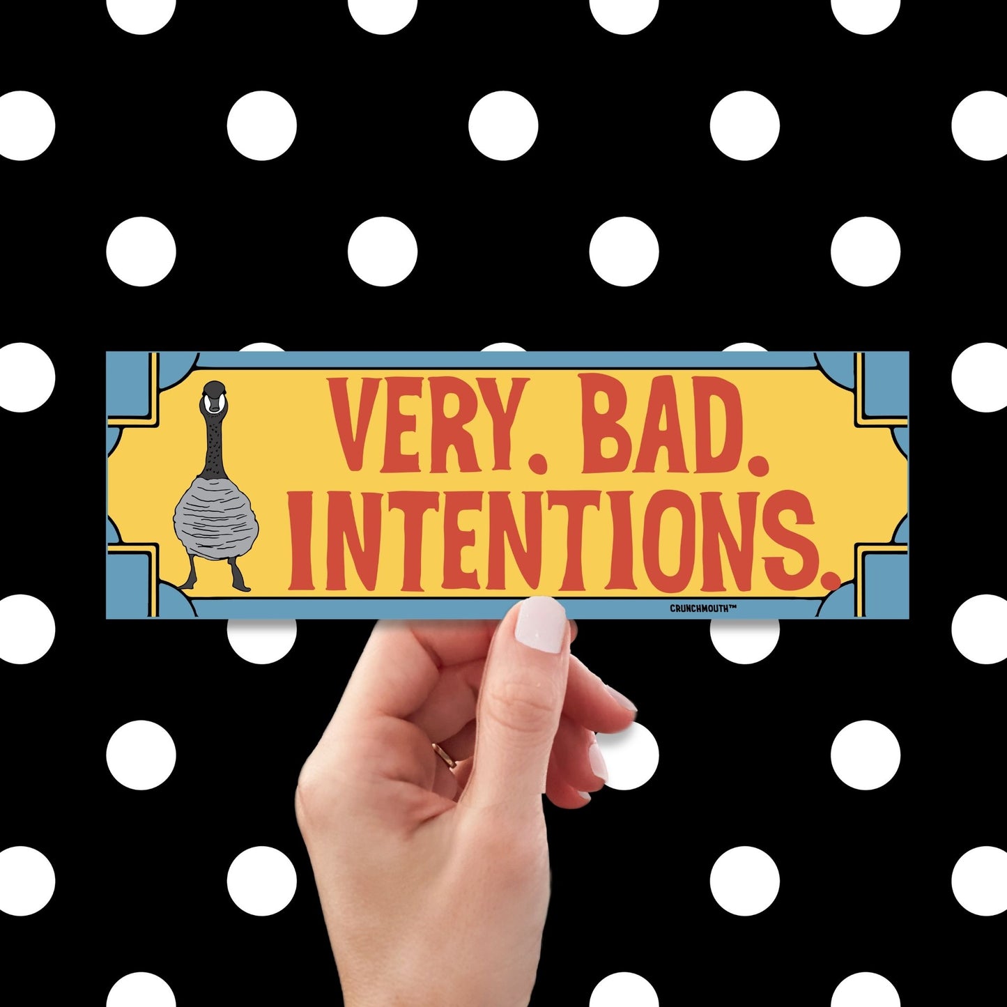 Canada goose bumper sticker, very bad intentions, hand display, polka dots pattern design background
