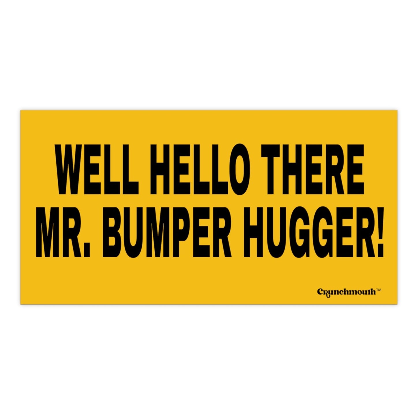 well hello there mr bumper hugger bumper sticker funny retro road trip