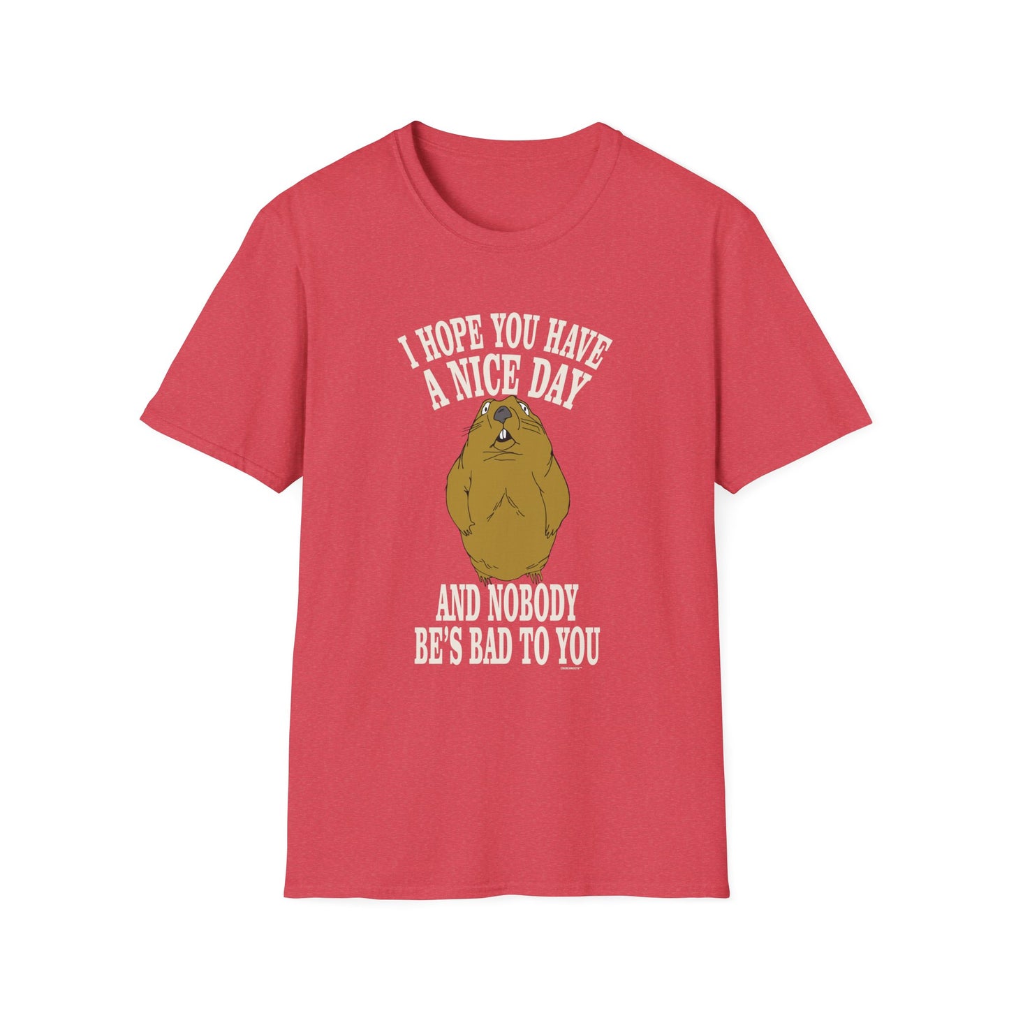 i hope you have a nice day and nobody be's bad to you T-Shirt