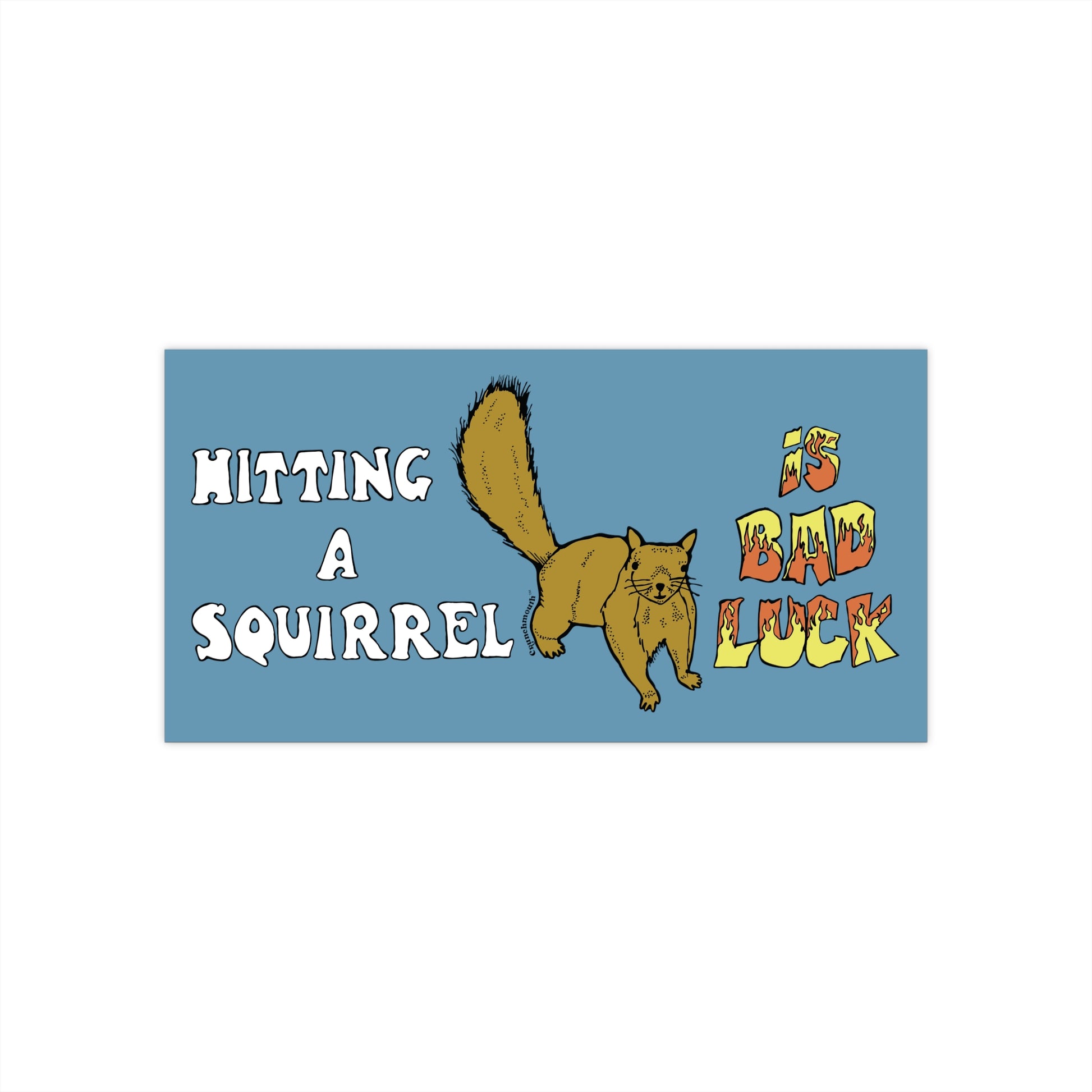 hitting a squirrel is bad luck humorous bumper sticker