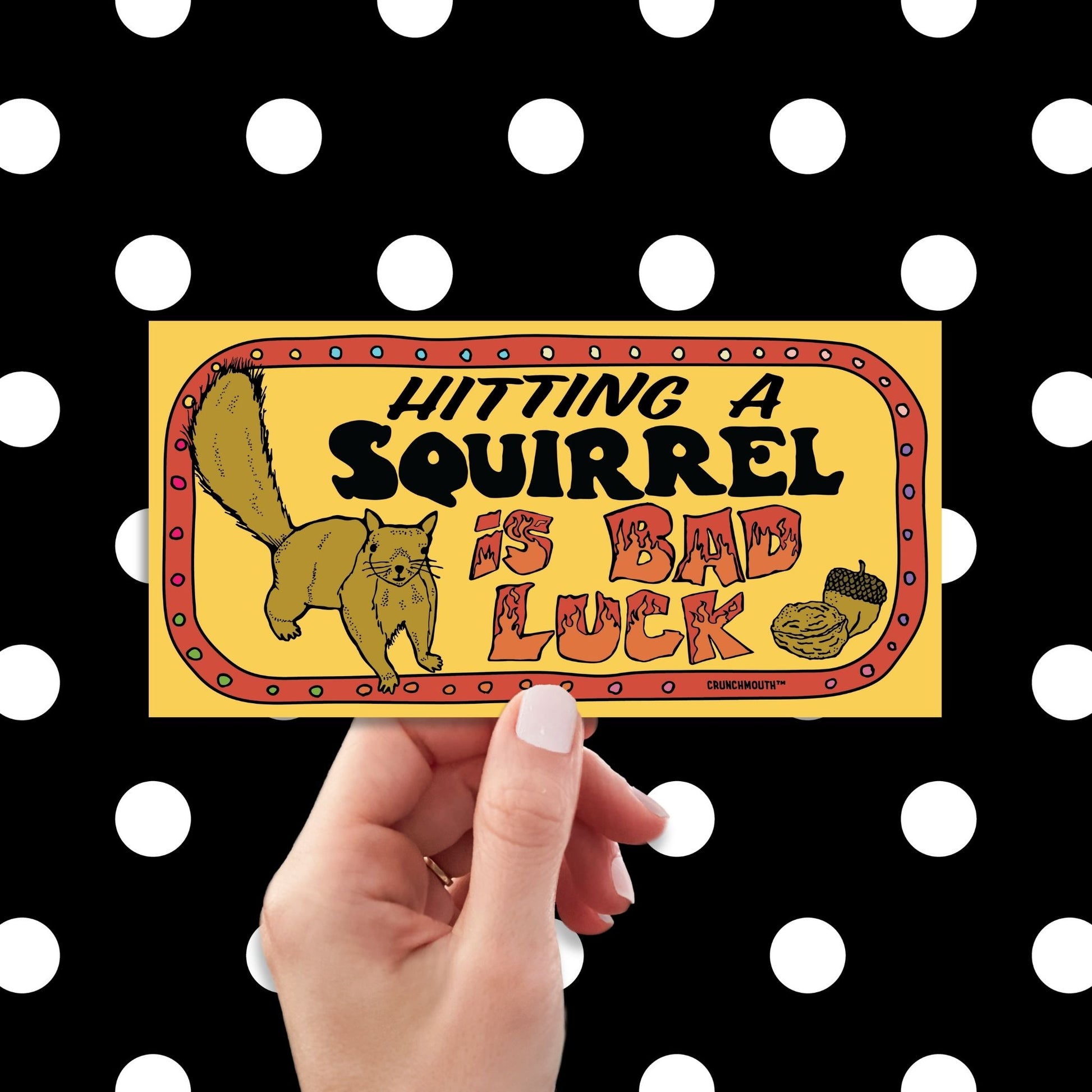 funny hitting a squirrel is bad luck bumper sticker, hand display, polka dots pattern design background