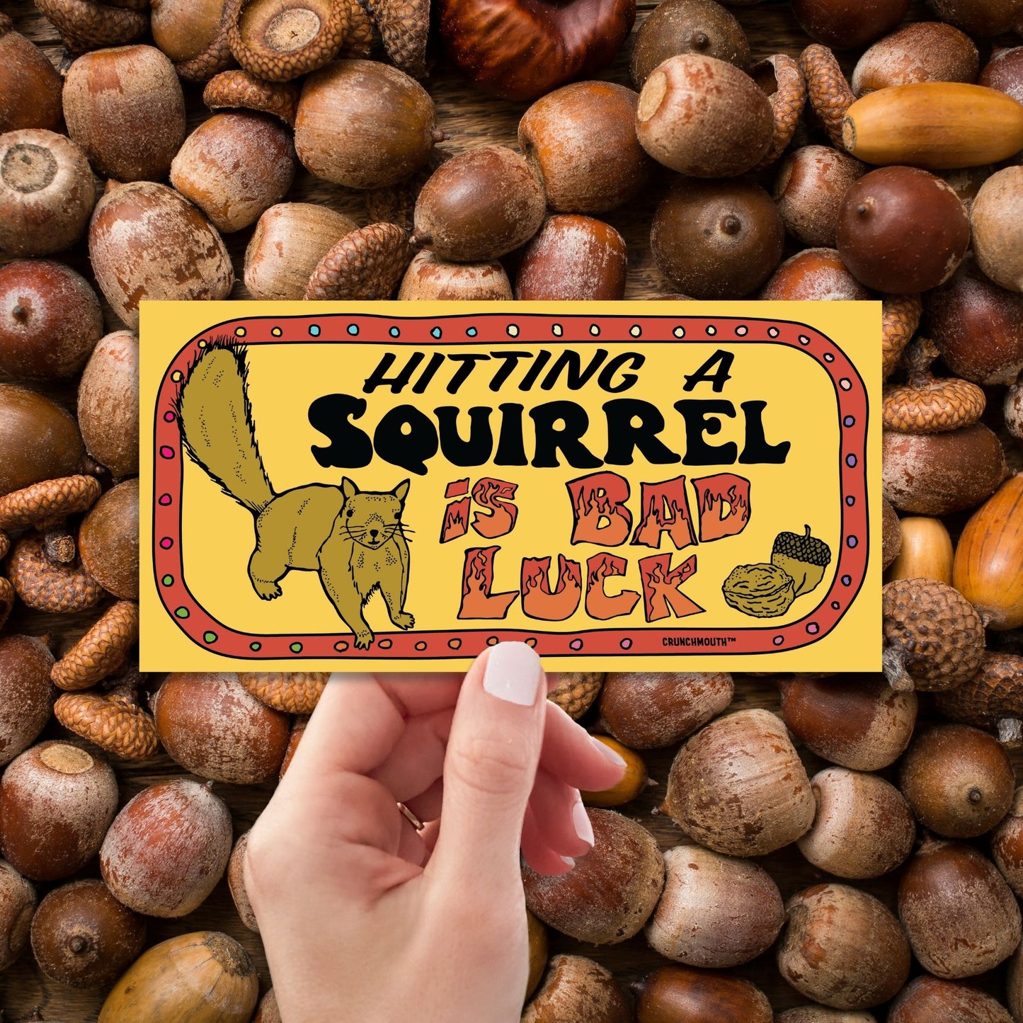 funny hitting a squirrel is bad luck bumper sticker, hand display, acorns background