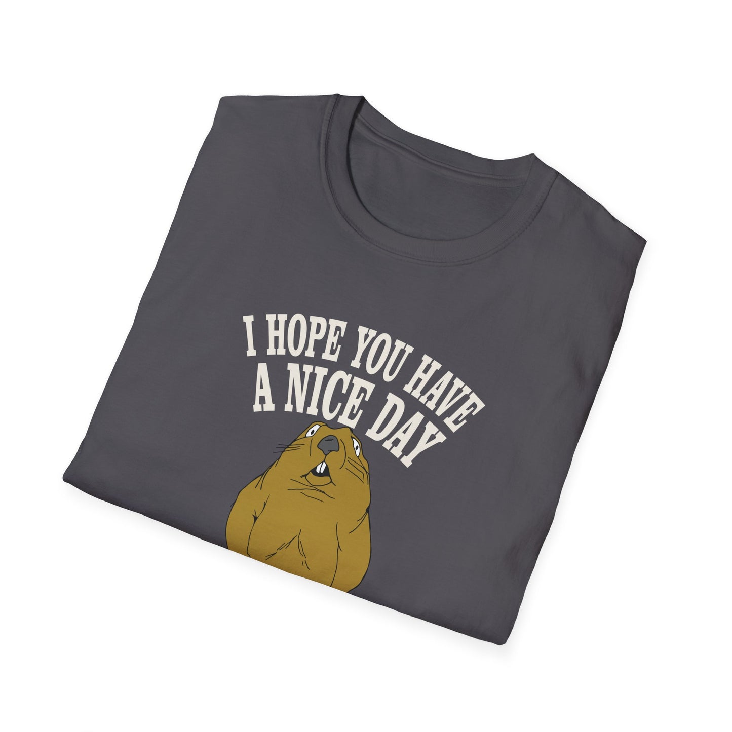 i hope you have a nice day and nobody be's bad to you T-Shirt