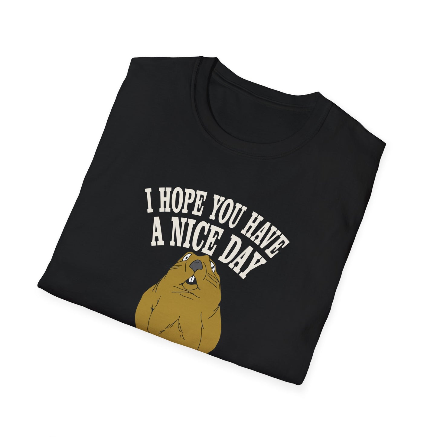 i hope you have a nice day and nobody be's bad to you T-Shirt