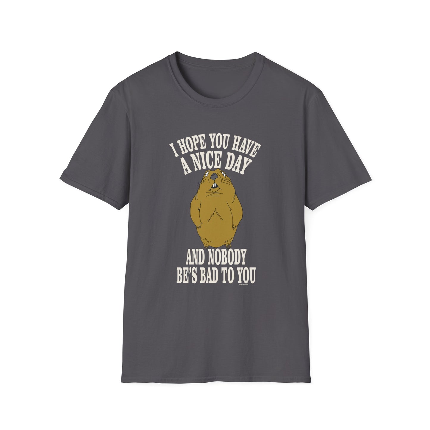 i hope you have a nice day and nobody be's bad to you T-Shirt