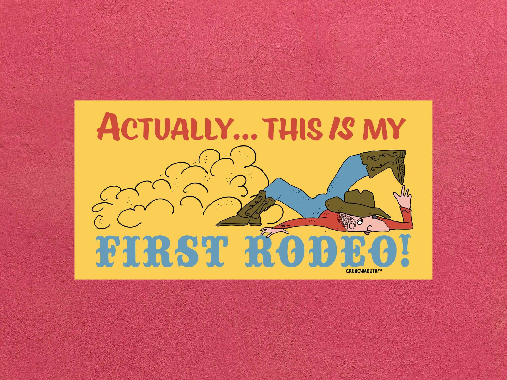 actually this is my first rodeo bumper sticker, funny bumper stickers, rose color textured background