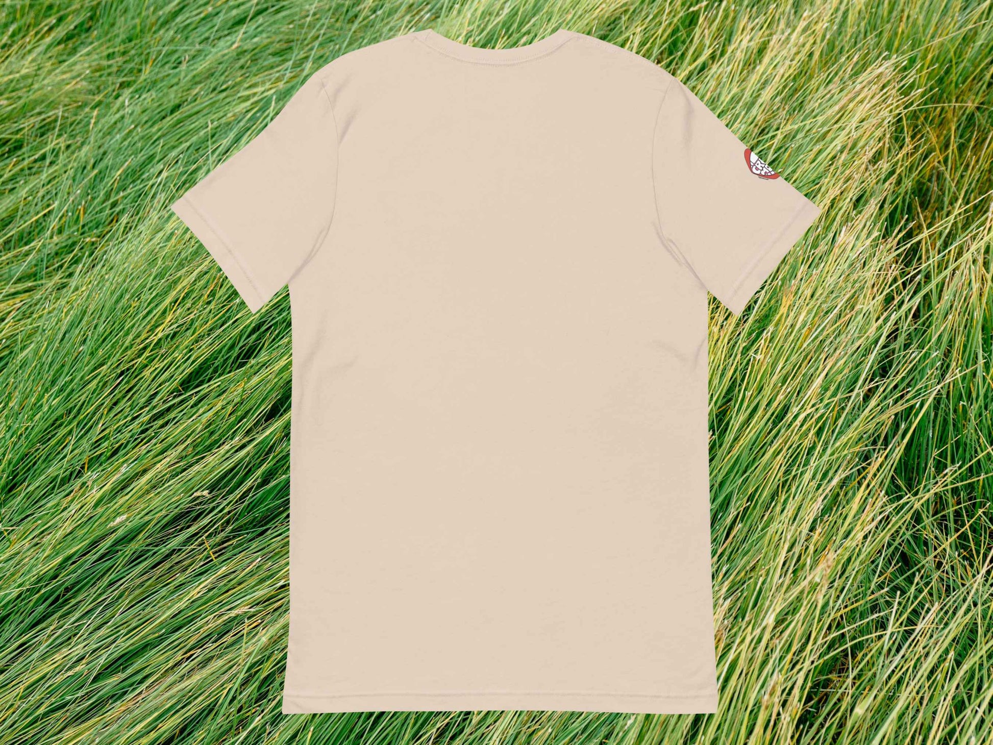 alaska t shirt, souvenir shirts, flat, back, green grass background