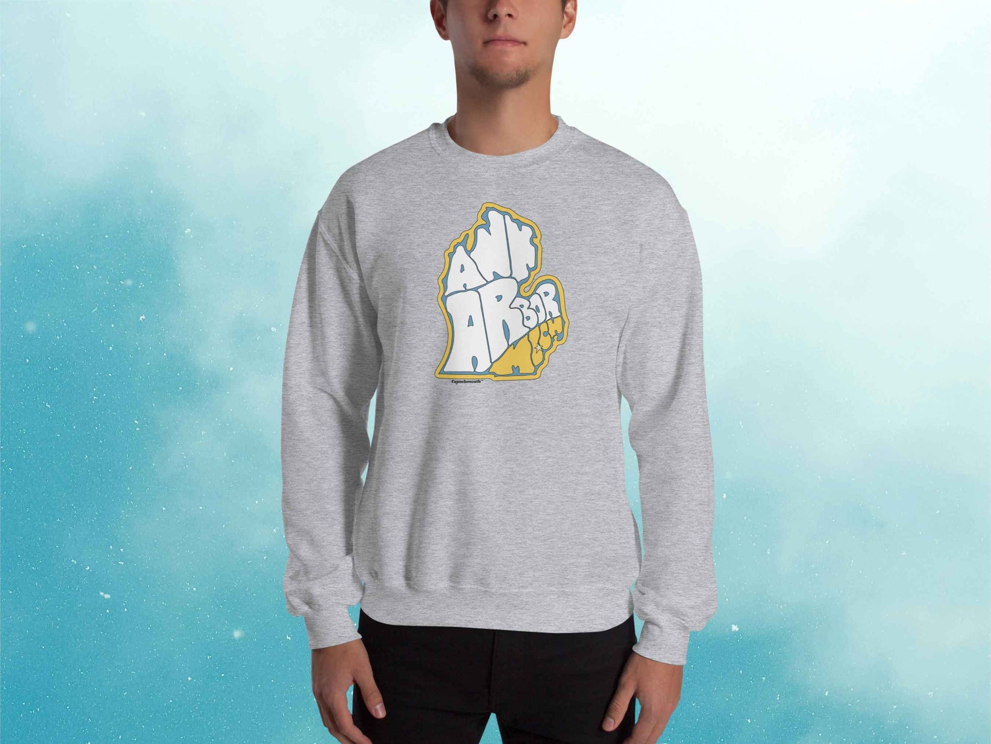 ann arbor sweatshirt, retro sweatshirts, male model, front, blue sky background