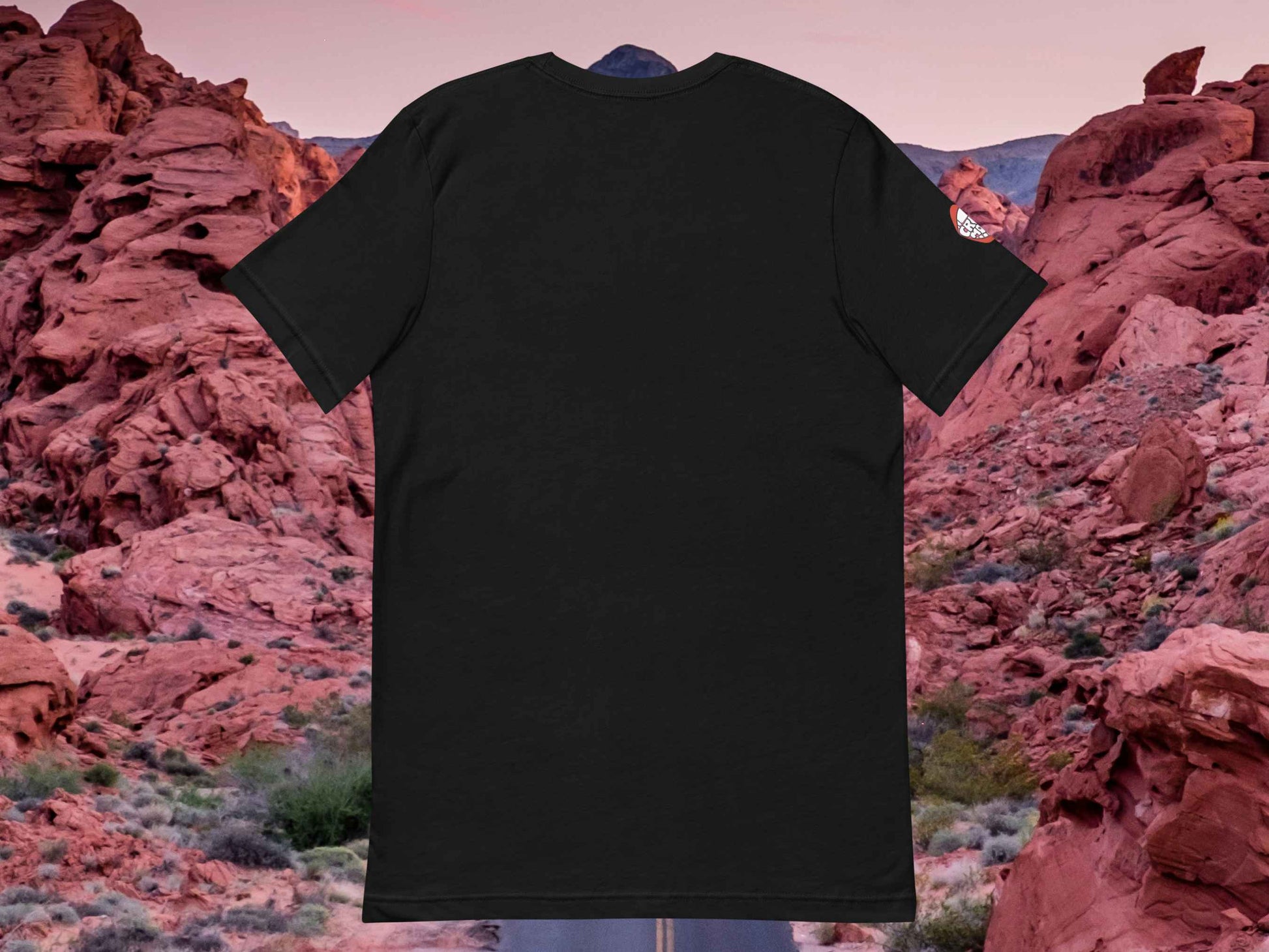 arizona shirt, souvenir t shirts, back, flat, red rocks background