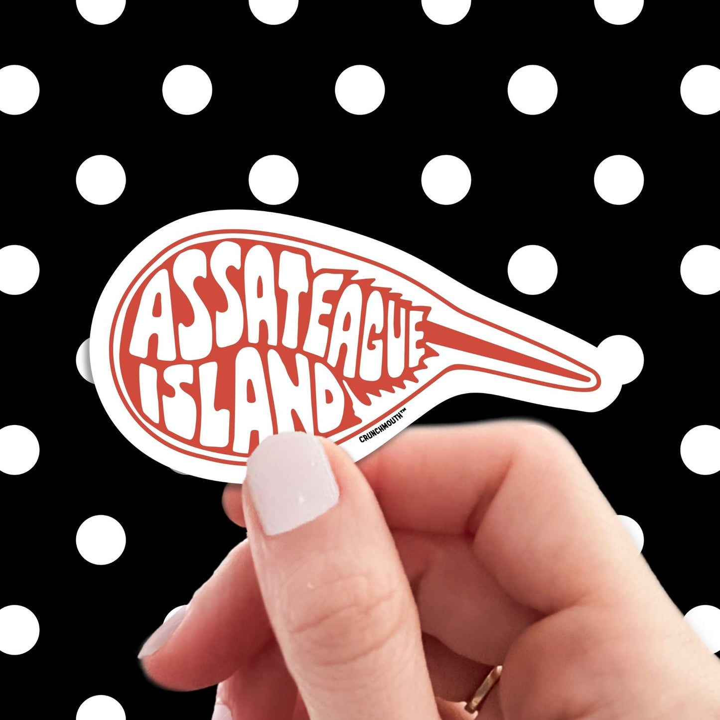 ASSATEAGUE ISLAND HORSESHOE CRAB travel luggage sticker, hand display, polka dots pattern design background
